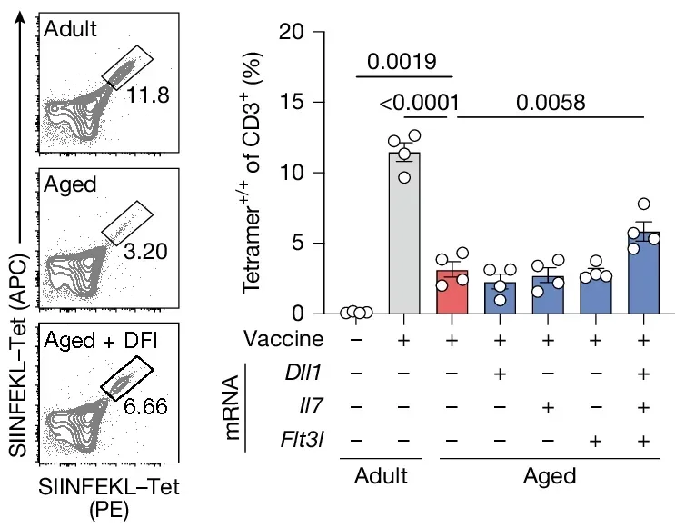 Frequency of SIINFEKL–H-2K(b) tetramer+CD8+ T cells in the spleen (n = 4 per group). Data are mean ± s.e.m.; one-way ANOVA with Tukey post-hoc test.