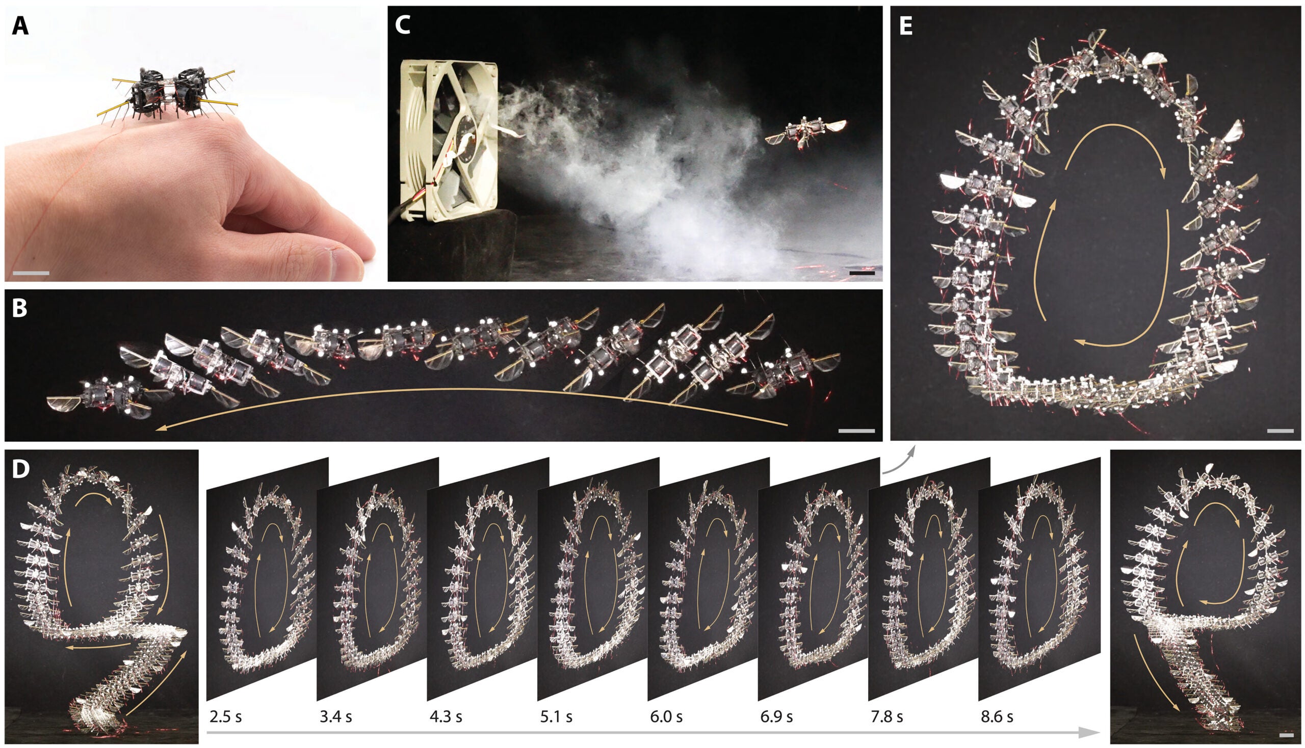 Overview of flight maneuvers performed by a 750-mg flapping-wing aerial robot.