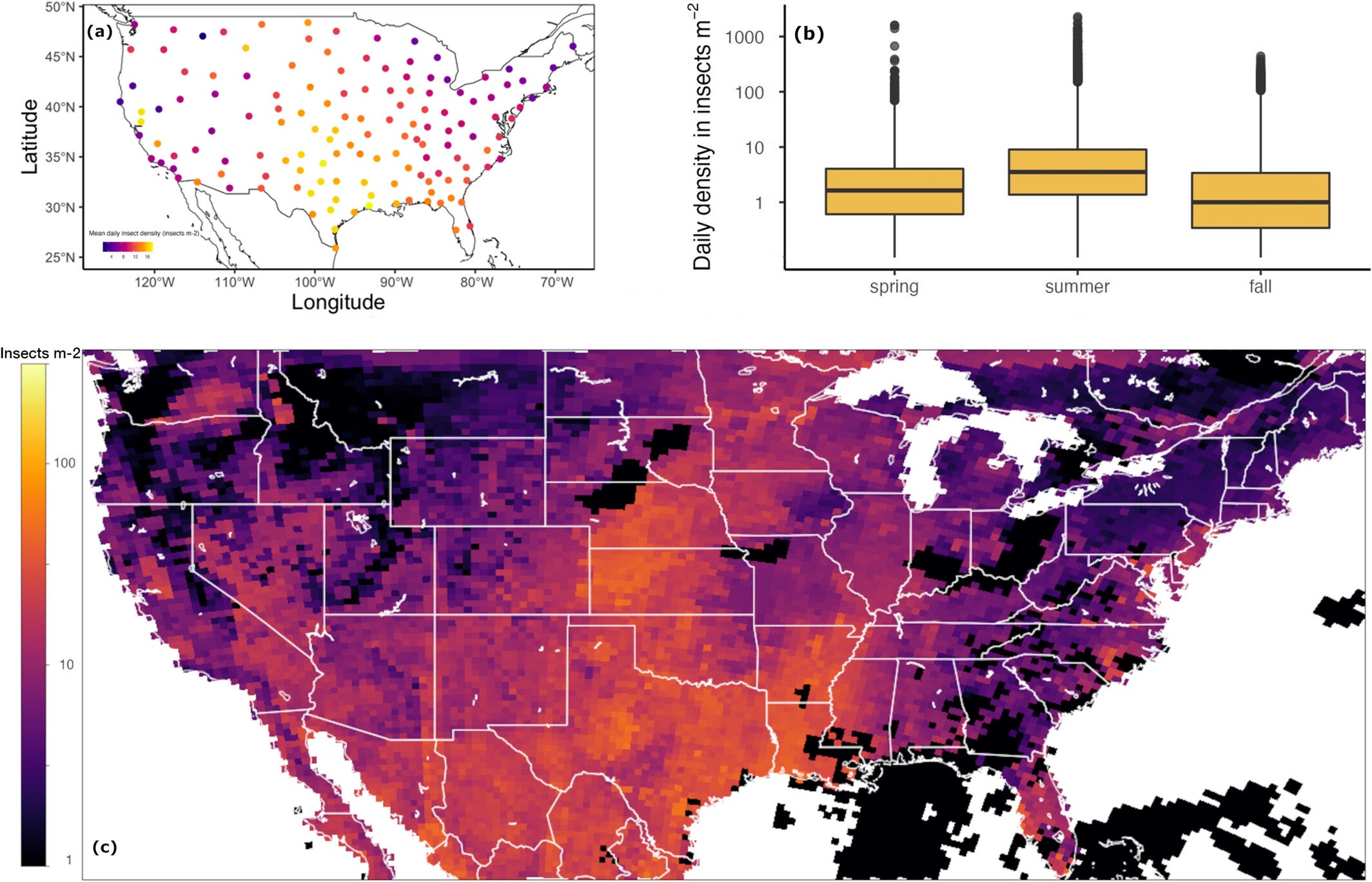 Day-flying insect density above the contiguous United States.