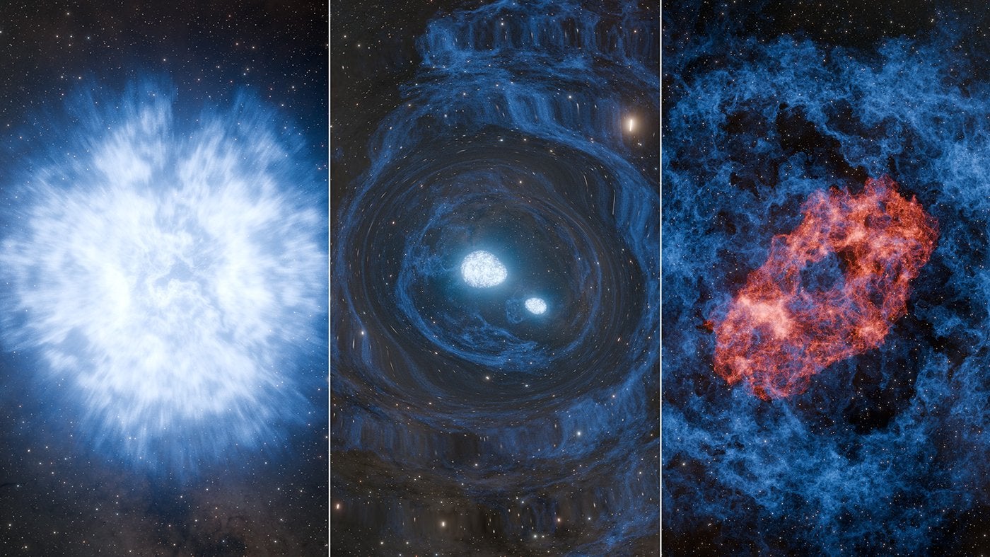 This artist's concepts shows a hypothesized event known as a superkilonova. A massive star explodes in a supernova (left), which generates elements like carbon and iron. In the aftermath, two neutron stars are born (middle), at least one of which is believed to be less massive than our Sun. The neutron stars spiral together, sending gravitational waves rippling through the cosmos, before merging in a dramatic kilonova (right).