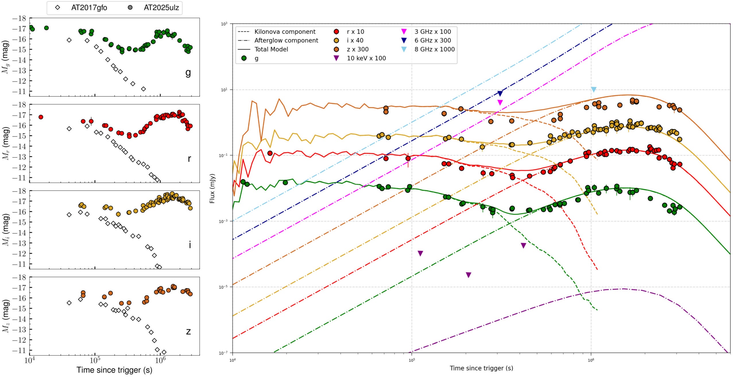 Griz light curves of ZTF 25abjmnps (filled circles) compared to GW170817/AT2017gfo (open diamonds). Right panel: Combined kilonova and off-axis afterglow model plotted with the observed data.