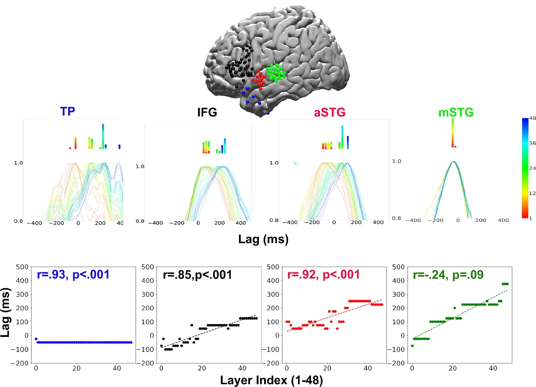 Temporal hierarchy along the ventral language stream for correctly predicted words.