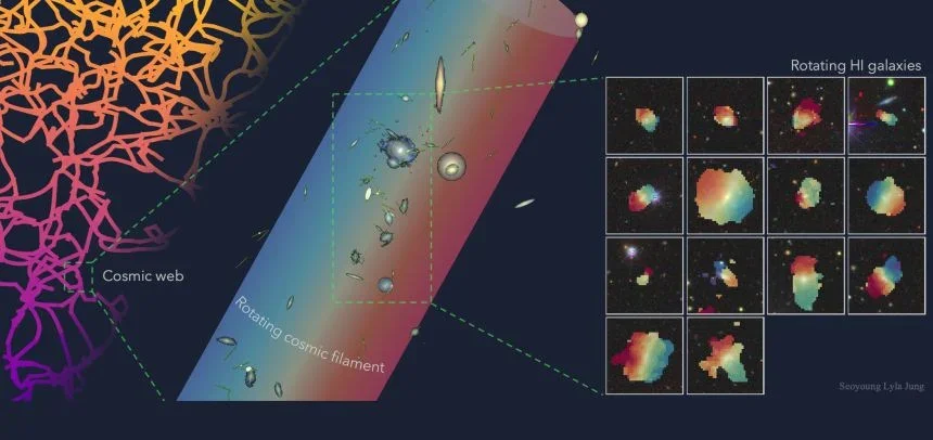 A figure illustrating the rotation of neutral hydrogen (right) in galaxies residing in an extended filament (middle), where the galaxies exhibit a coherent bulk rotational motion tracing the large-scale cosmic web (left). 