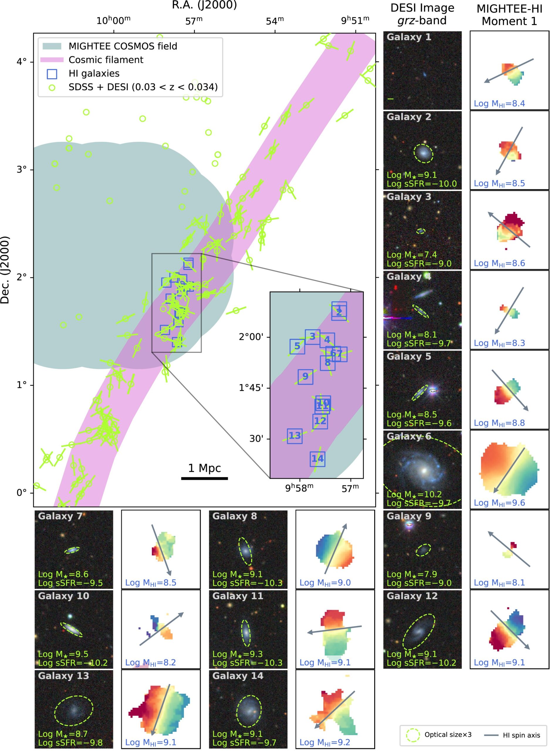 The on-sky distribution of H i galaxies (squares), SDSS and DESI optical galaxies (circles and lines, depending on the availability of optical PA measurements), and the cosmic filament.