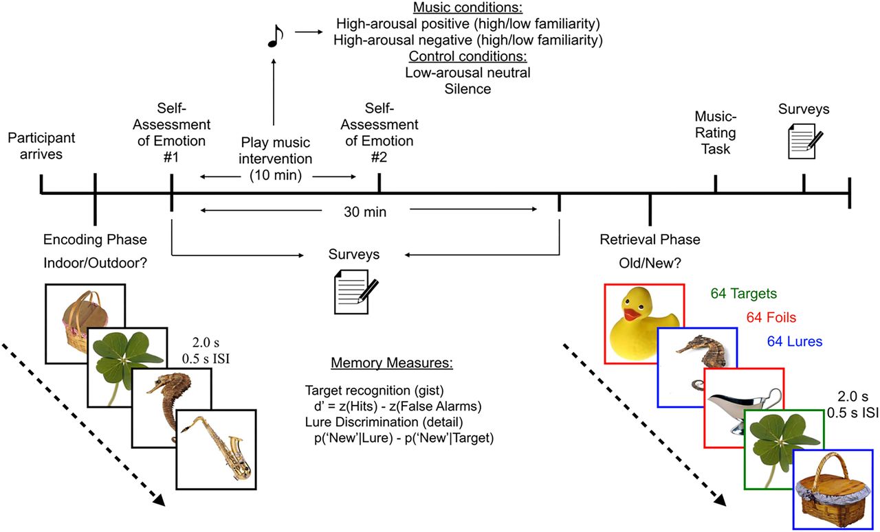 Study timeline and procedures. Participants completed the encoding phase of the object MDT, followed by a measure of current affective state (affect grid).