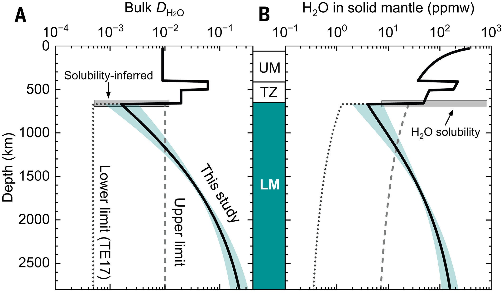 Partitioning and distribution of water in the solid mantle after bottom-up magma ocean crystallization.
