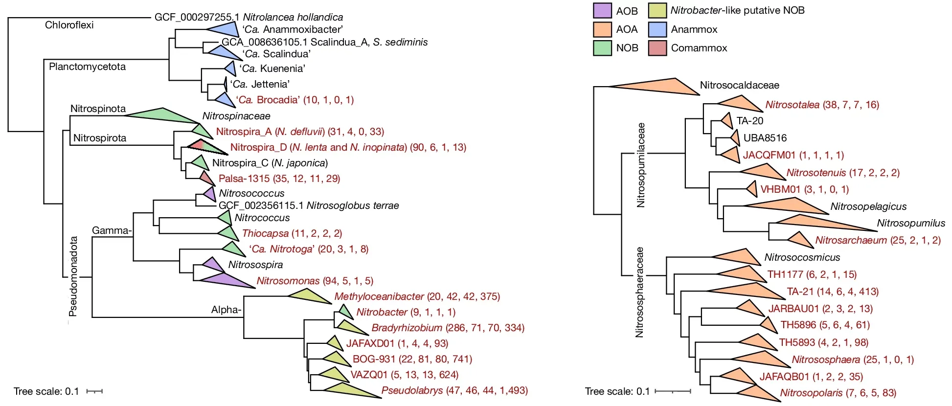 Nitrifier distribution in Danish habitats.