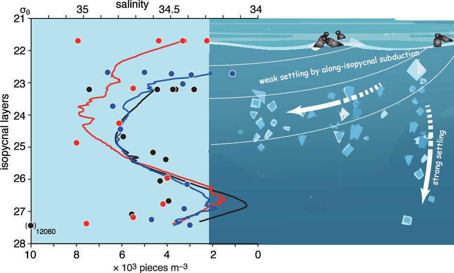 Graphical abstract of the study. Oceanic SMPs follow two pathways: along-isopycnal subduction into subsurface layers via weak settling and accumulation at bottom layers via strong settling.