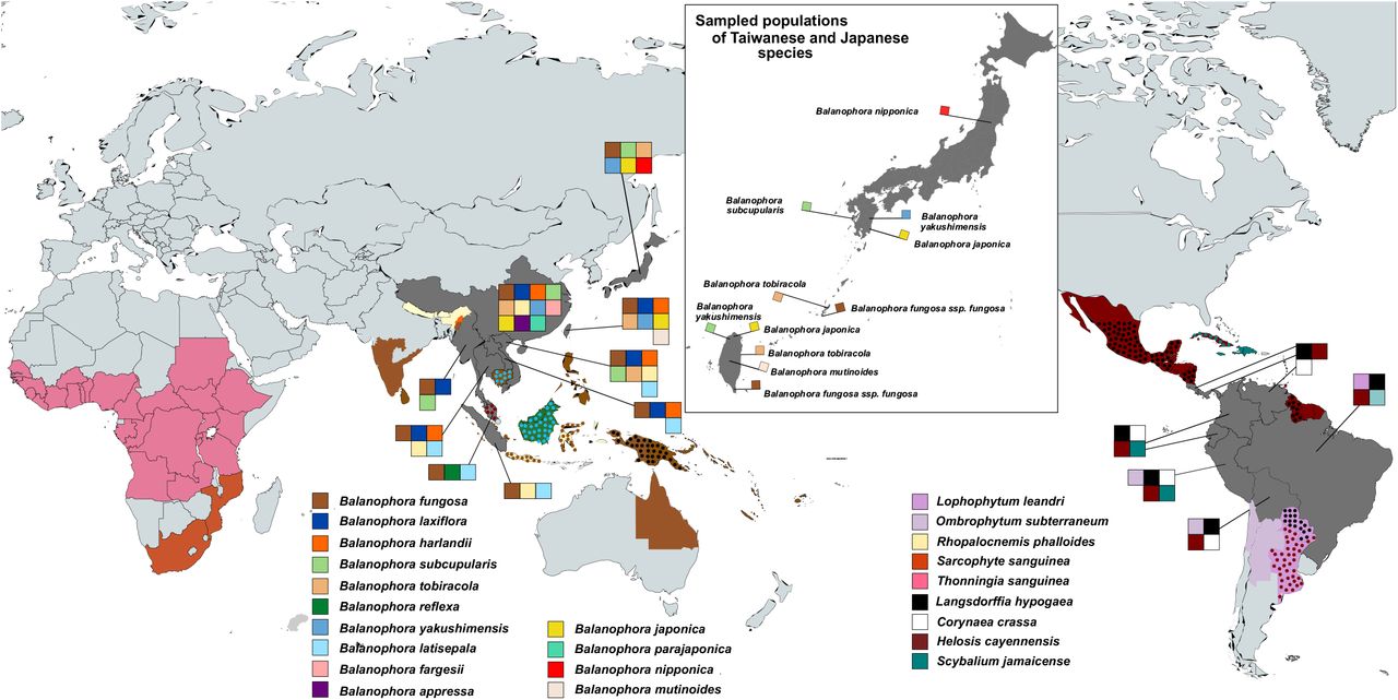 The world distribution of Balanophoraceae species with sequencing data available (and thus displayed on the phylogenetic trees in this study). Inset figure: sampling sites in Taiwan, Okinawa, and mainland Japan.