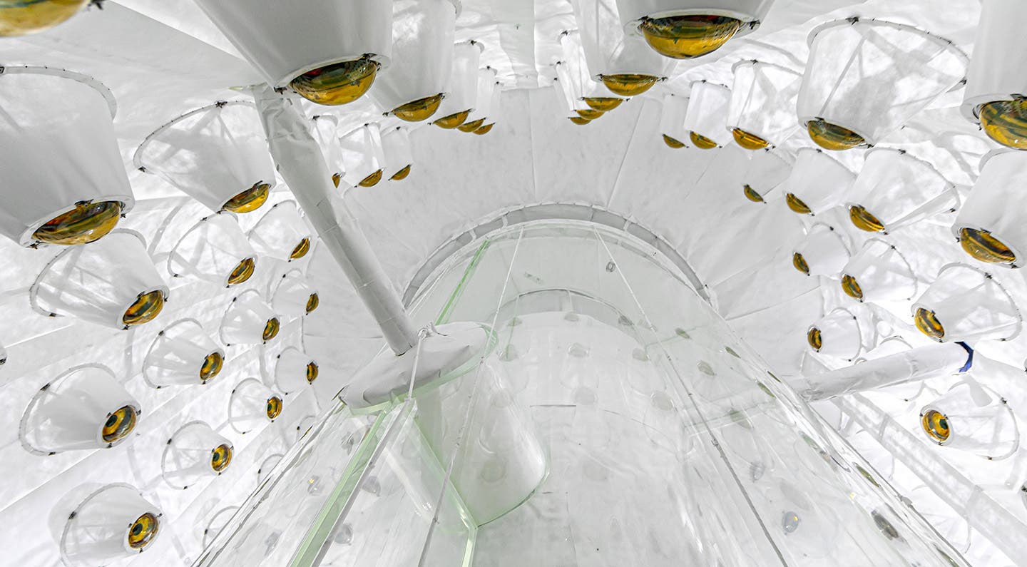 Looking up into the LZ outer detector, used to veto radioactivity that can mimic a dark matter signal.