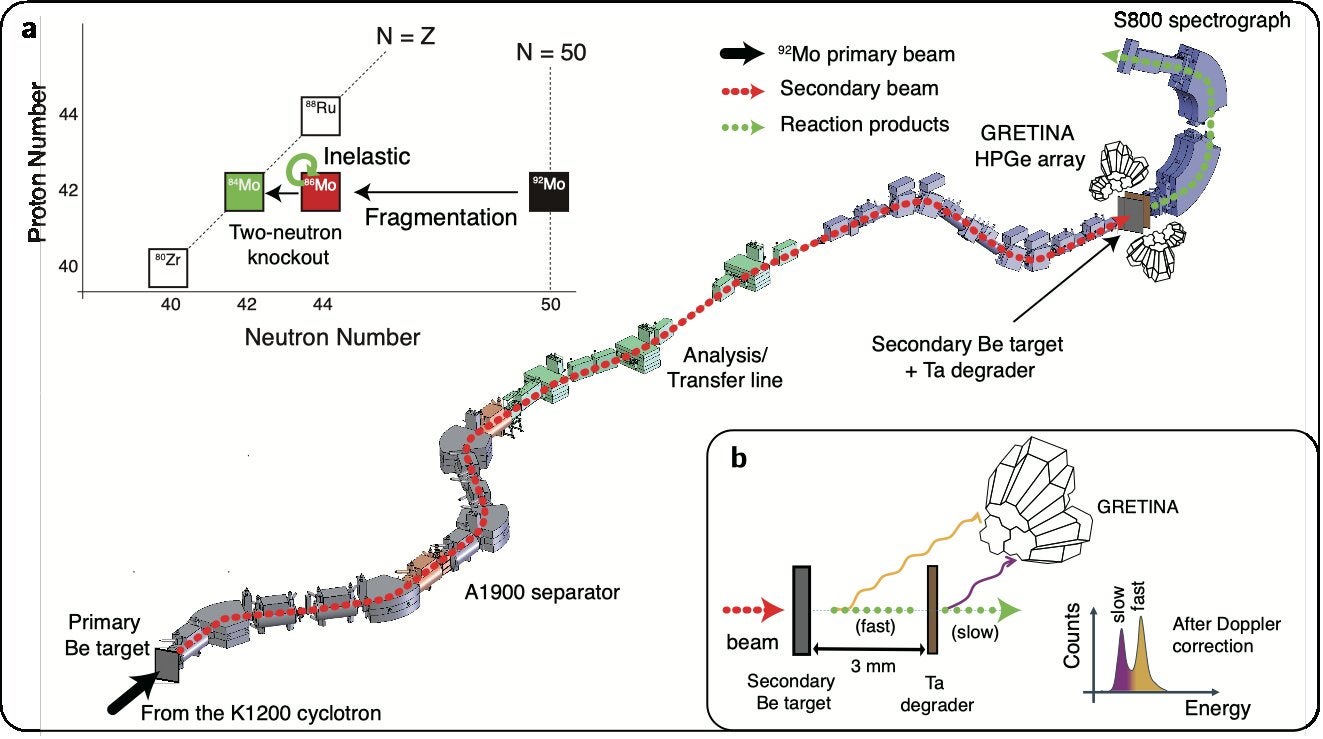 Schematic plots of the experimental procedure. The secondary beam was produced by fragmentation of a 92Mo beam on a primary Be target and purified using the A1900 separator.
