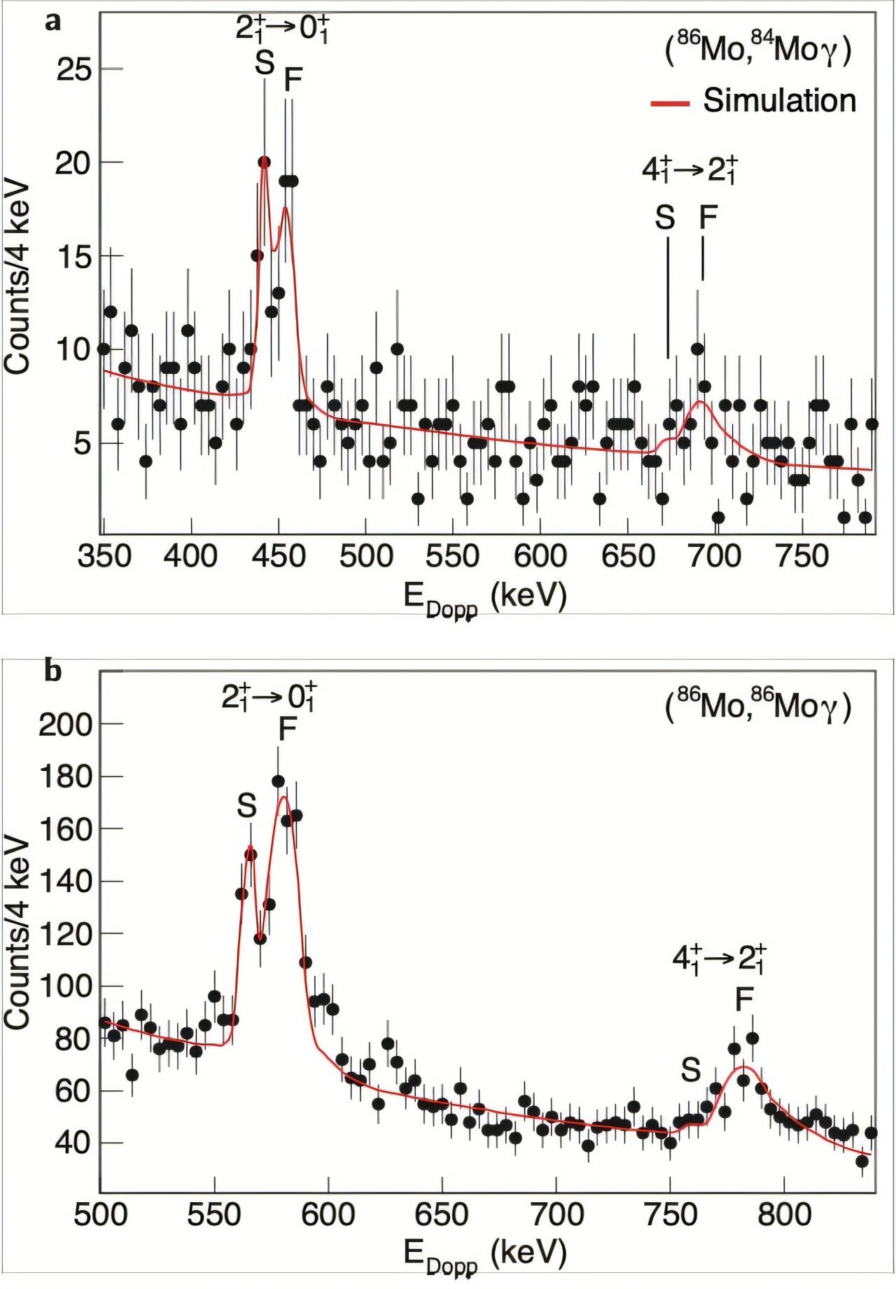 Comparison of gamma-ray spectra with simulation. Gamma-ray spectrum observed in coincidence with the two-neutron knockout reaction 9Be(86Mo, 84Moγ).