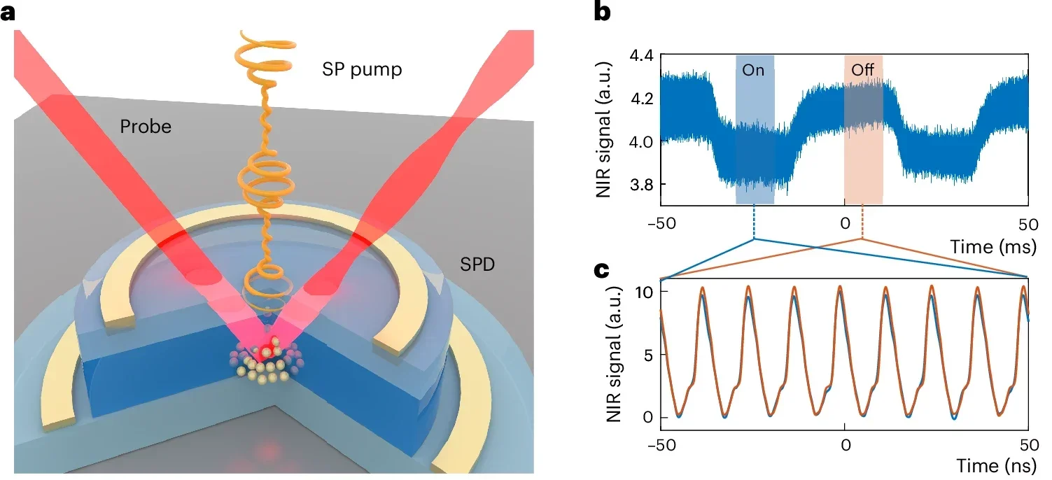 Schematics of the pump–probe experiment on a single-photon diode (SPD).