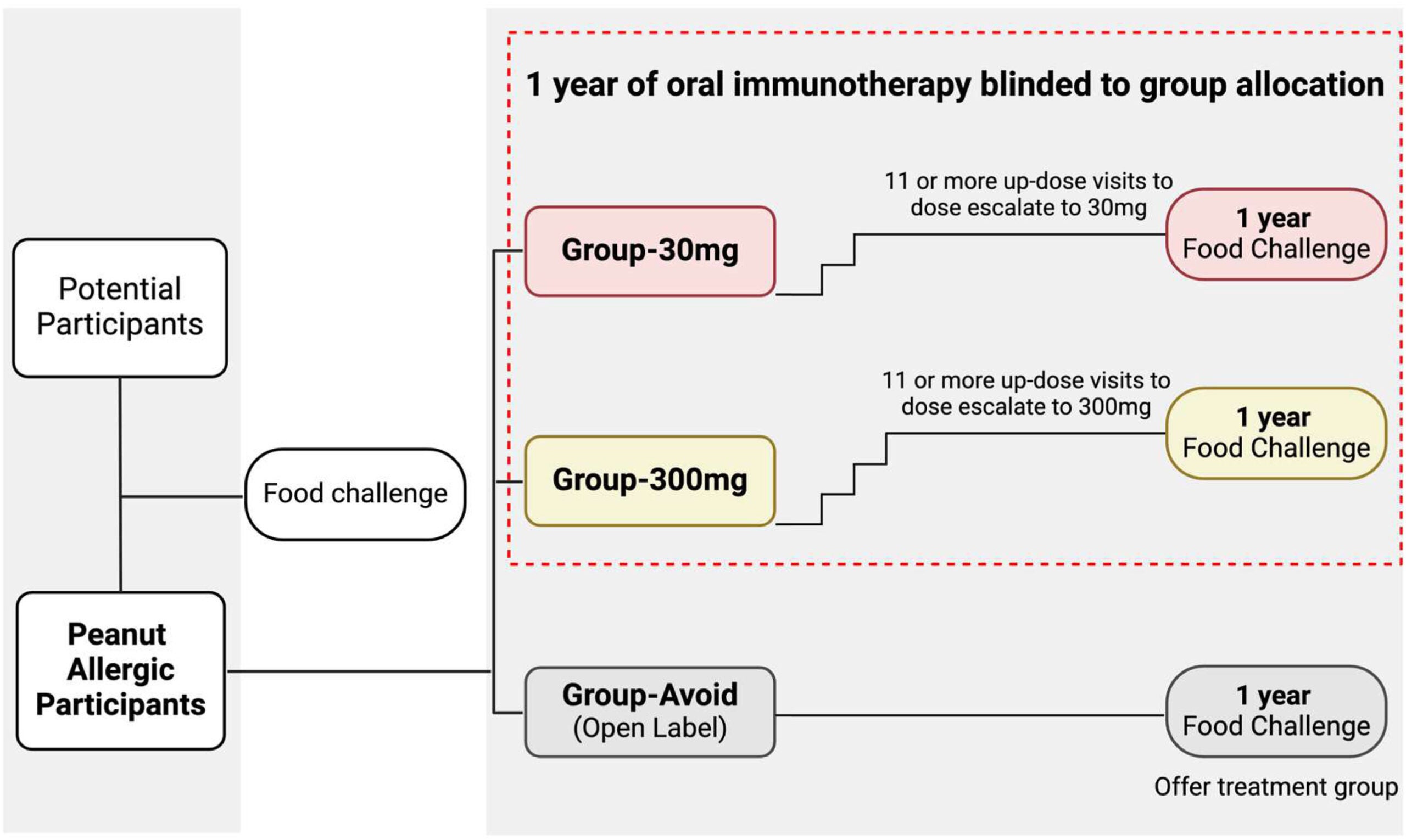 Randomized controlled trial design. All participants reacted to a double-blind placebo-controlled food challenge (DBPCFC) to cumulative 444 mg or greater peanut protein.