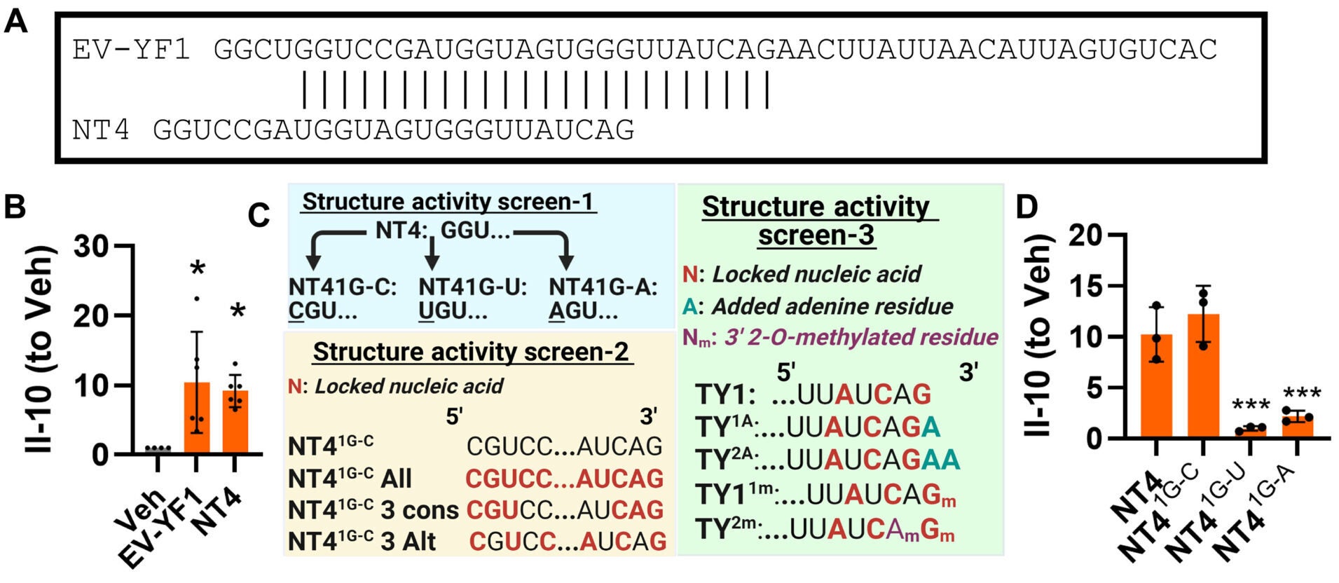 TY1 is an engineered small RNA with immunomodulatory properties.