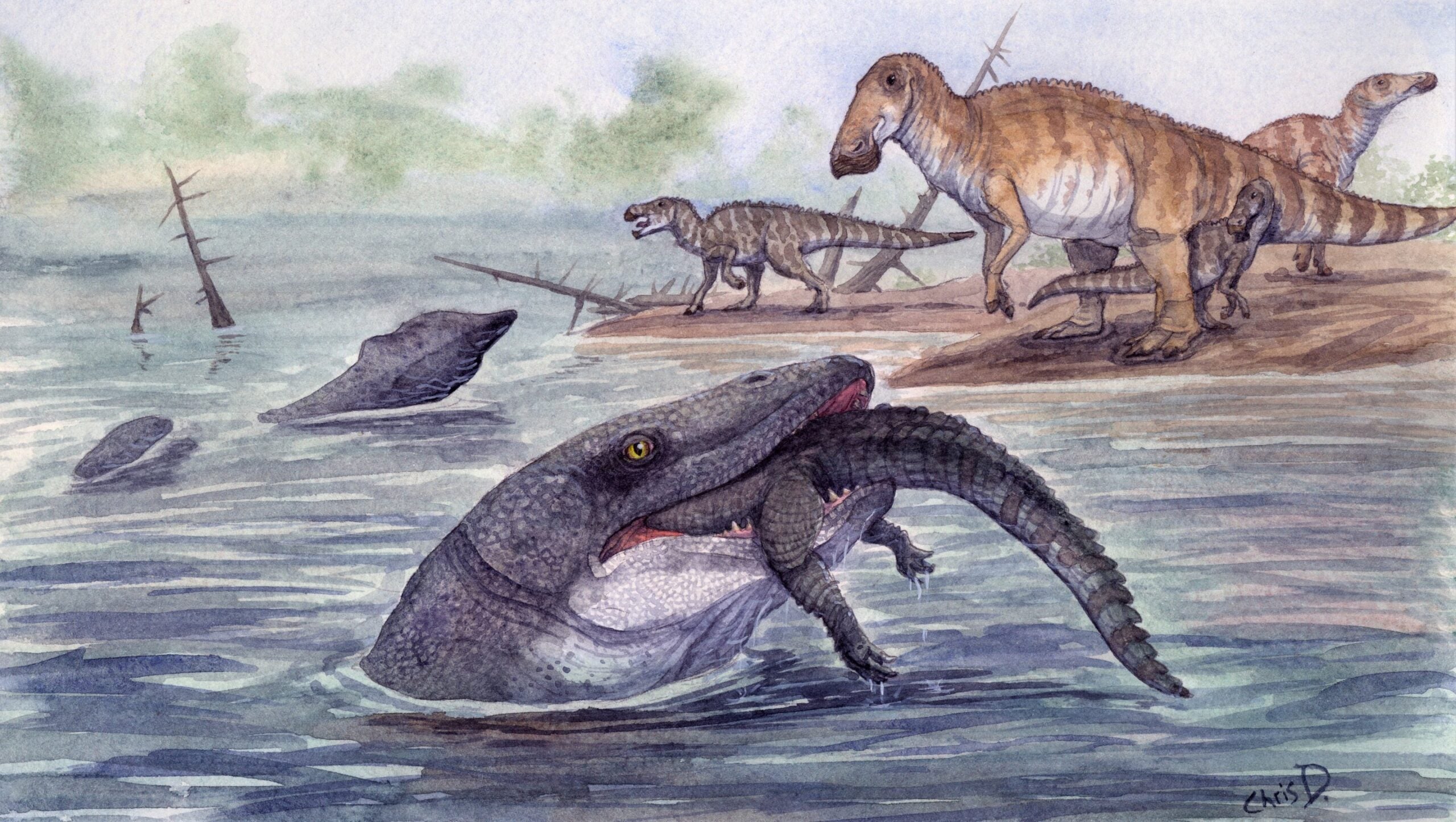 Mosasaur tooth fossil reveals giant sea reptiles lived in freshwater rivers