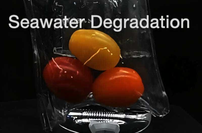 Researchers developed a strong, recyclable cellulose plastic that dissolves in seawater, offering a new way to stop microplastic pollution.