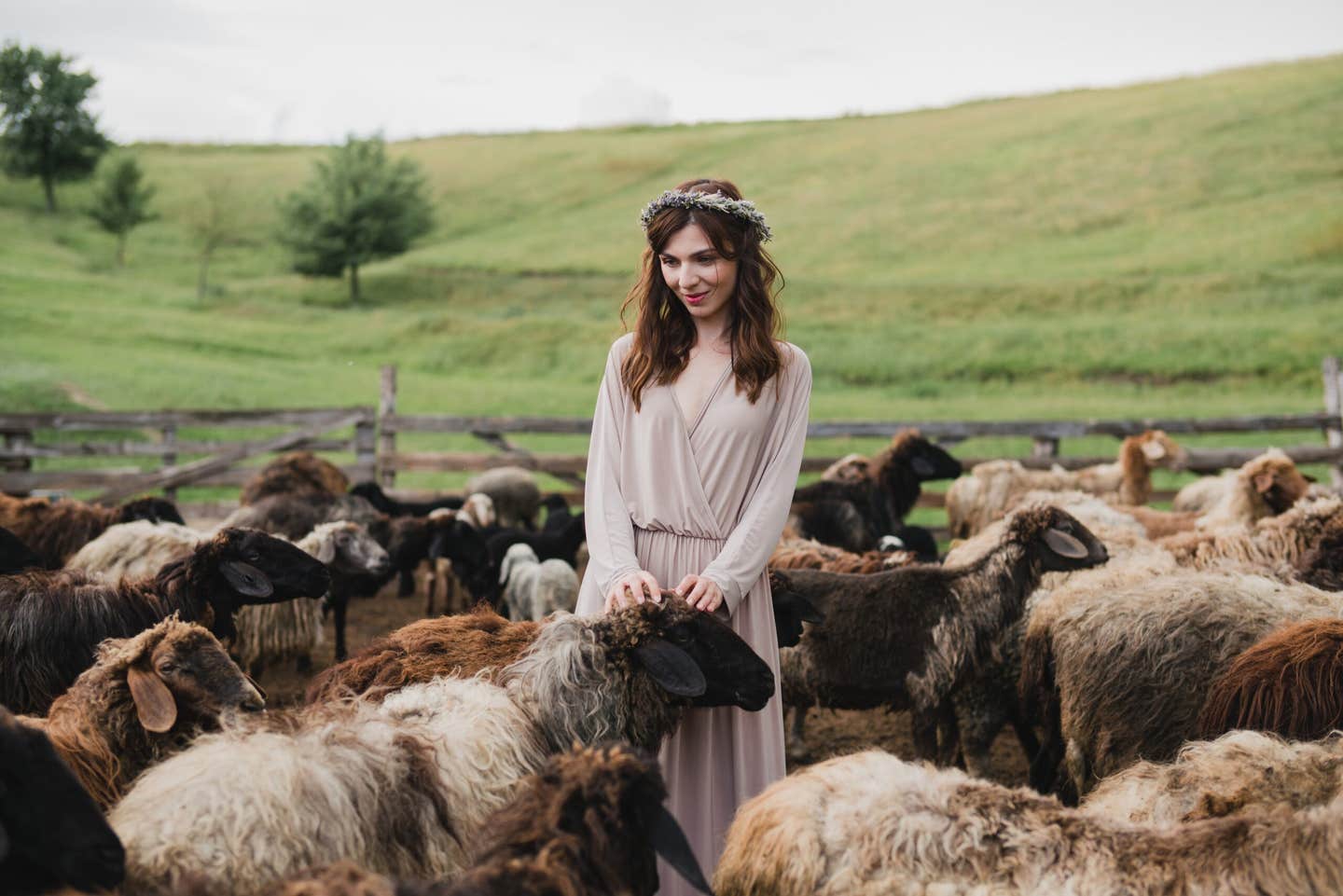 A sheep tooth from Arkaim has given scientists the first proof of Bronze Age plague in an animal, offering new clues about how the ancient disease moved across Eurasia.