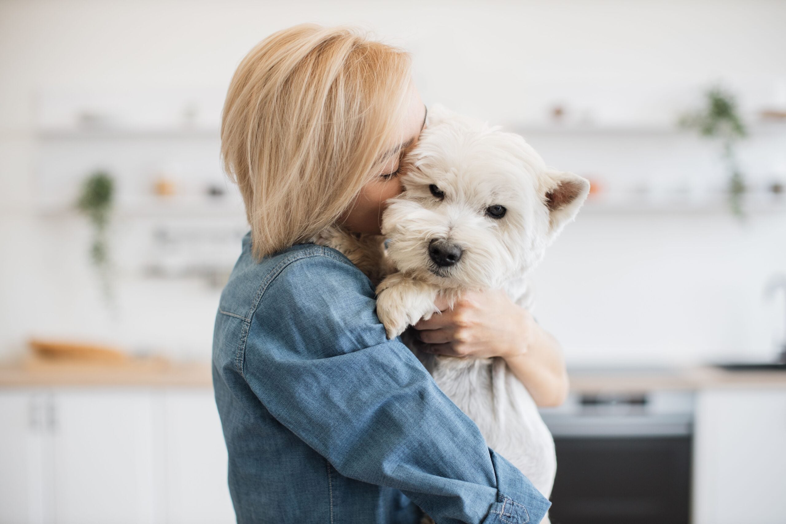 Researchers argue that dogs usually do not replace children. Instead, dogs can sometimes satisfy a nurturing urge that feels a lot like parenting.