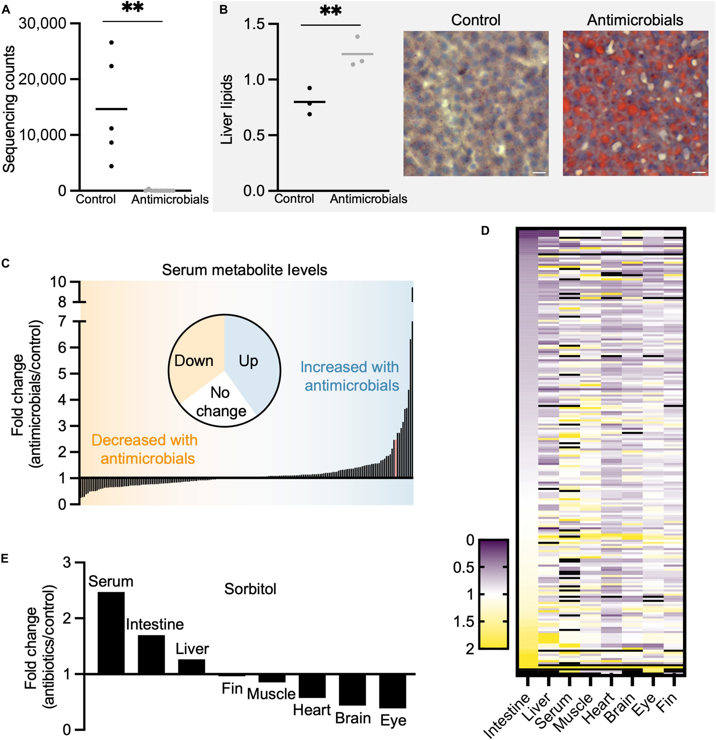 Alterations to systemic metabolism due to gut-bacteria depletion with antimicrobials.