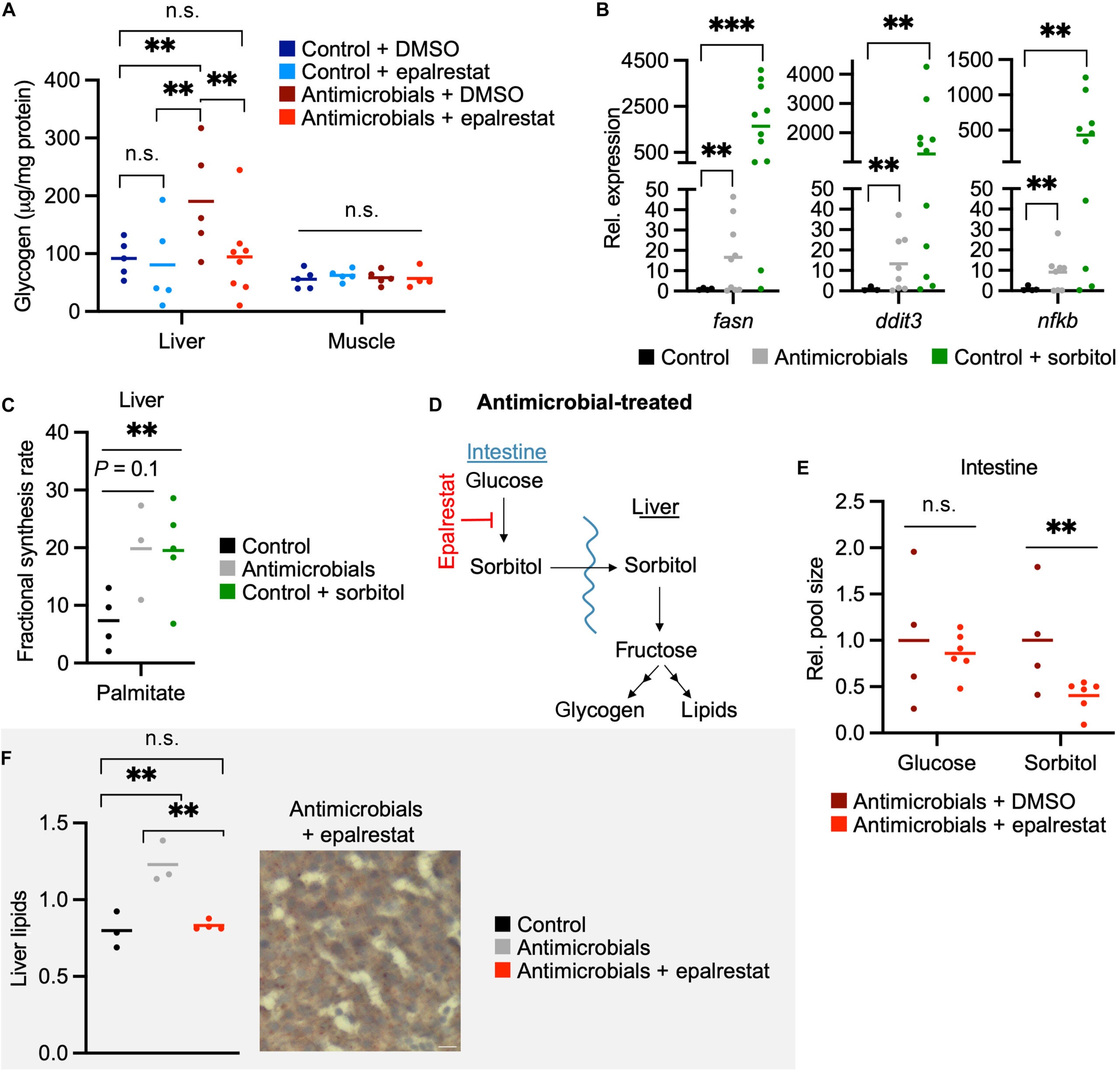 Inhibiting sorbitol production in the intestine mitigates antimicrobial-induced hepatic steatosis.
