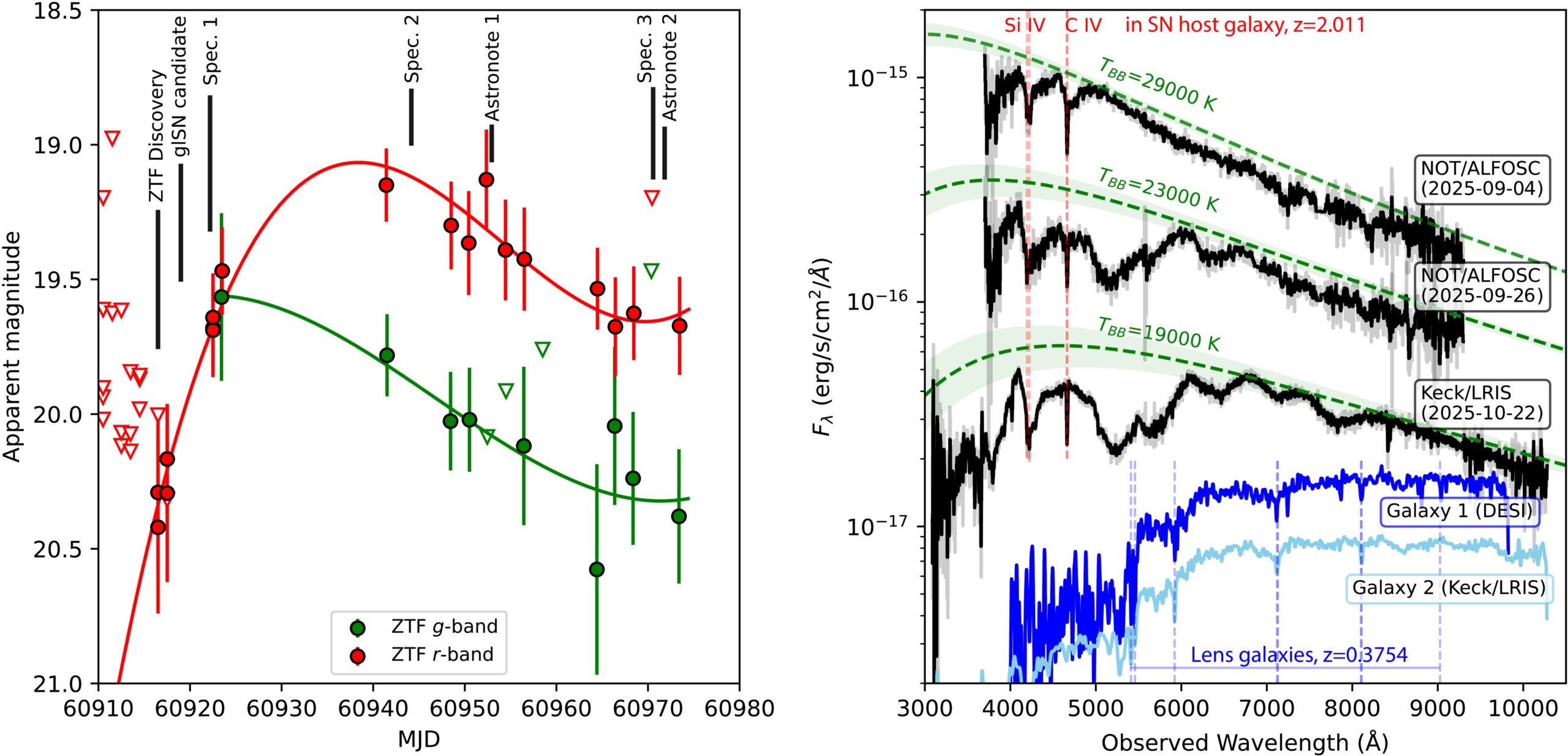 Public ZTF g- and r-band light curves of SN 2025wny, shown as green and red symbols. Black vertical lines indicate the time of the discovery, spectroscopic observations, and our reported AstroNotes