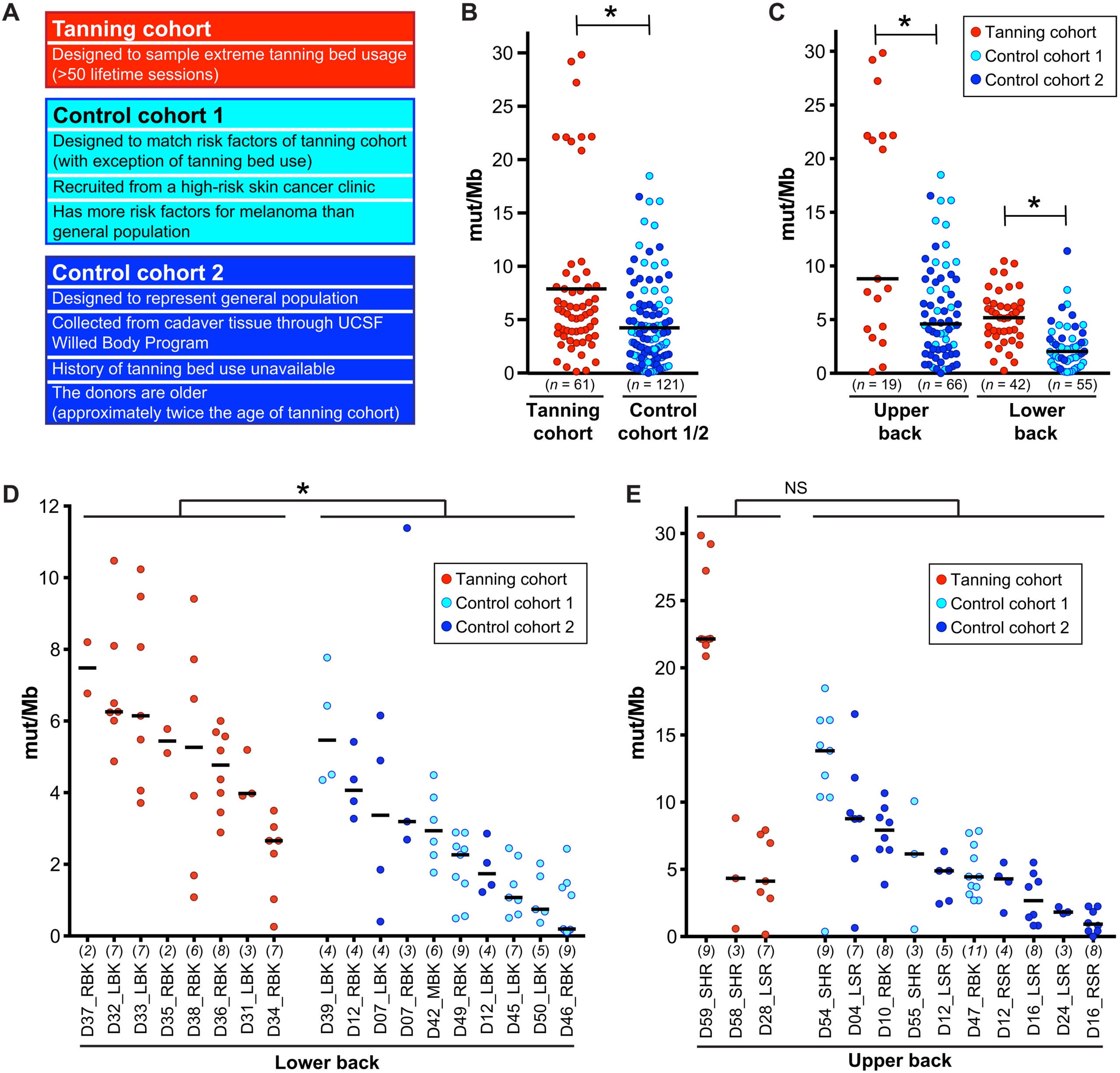 High mutation burdens in melanocytes from tanning bed users.