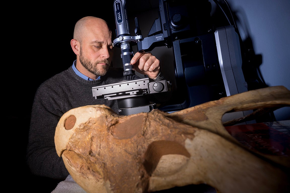 New study confirms Nanotyrannus was a grown dinosaur, not a baby T. rex