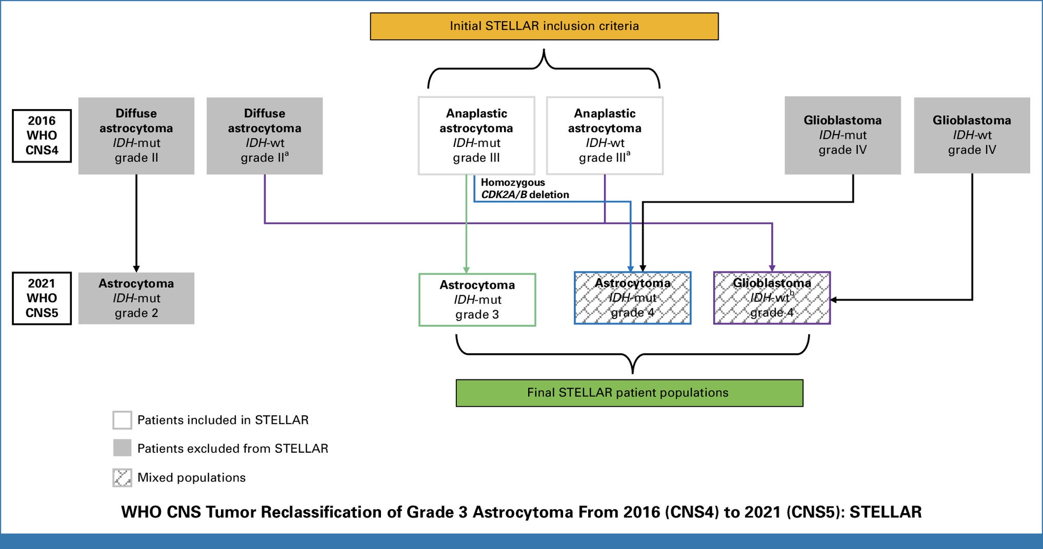 WHO CNS Tumor Reclassification of grade 3 astrocytoma from 2016 (CNS4) to 2021 (CNS5): STELLAR.