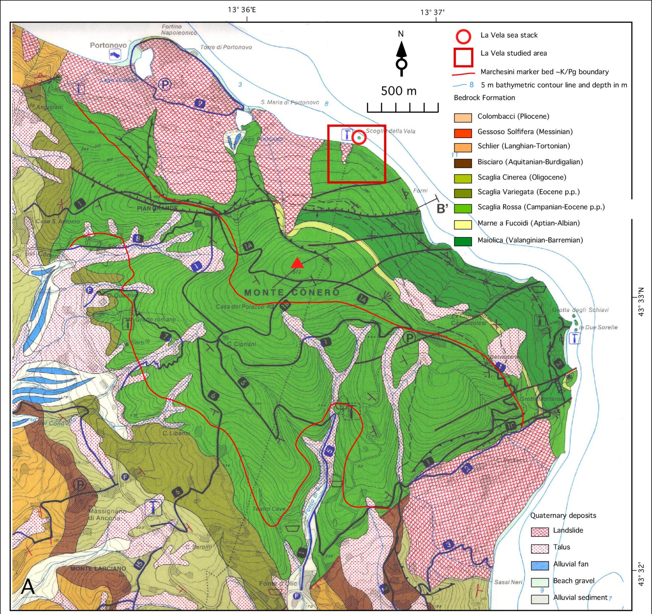 Geologic map of Monte Cònero, with red line indicating the trace of the basal Danian Marchesini calcarenite marker bed