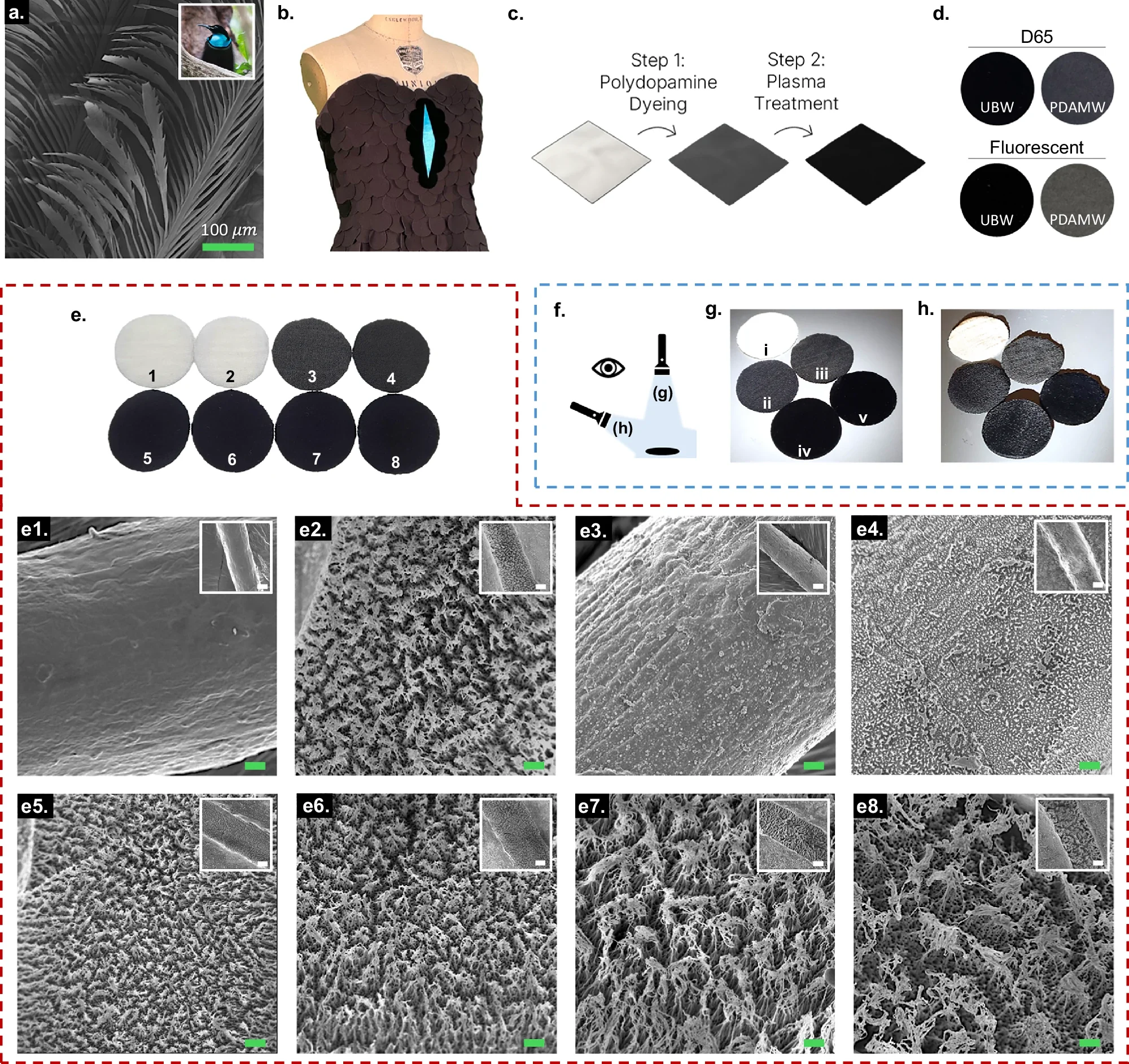 Visual and microscopic surface analyses of nano/microstructures.