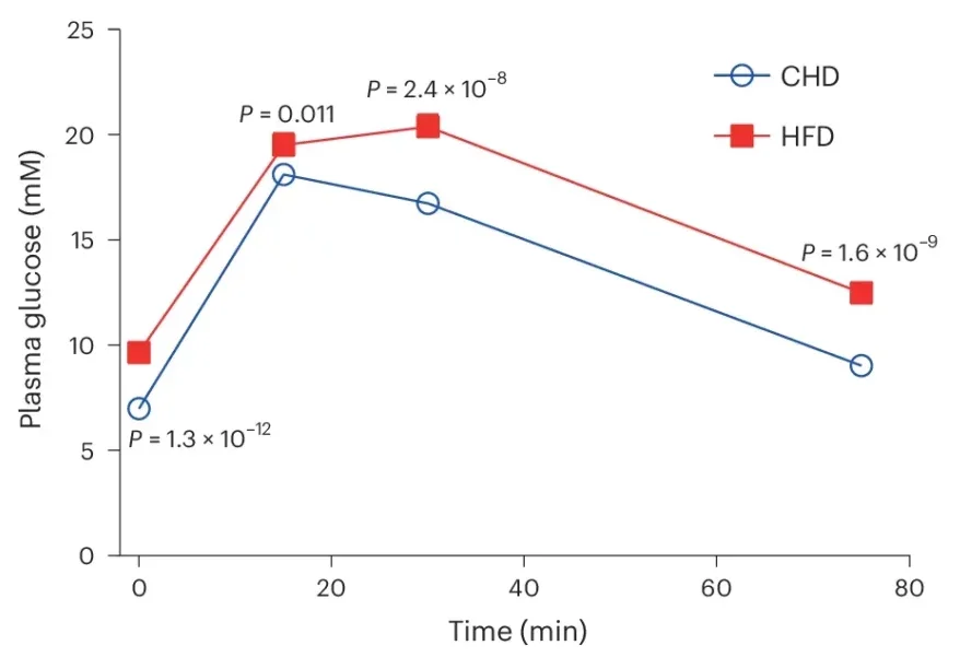 Choline supplementation improves glucose homoeostasis and inflammation after 5 months of HFD. Effect of HFD feeding on GTT.