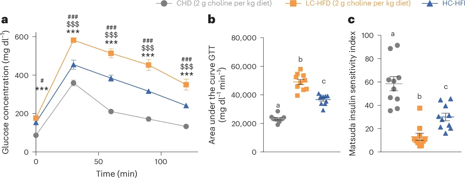 Choline supplementation corrects HFD adverse effects on glucose homoeostasis, insulin sensitivity and inflammation after 8 weeks of diet.