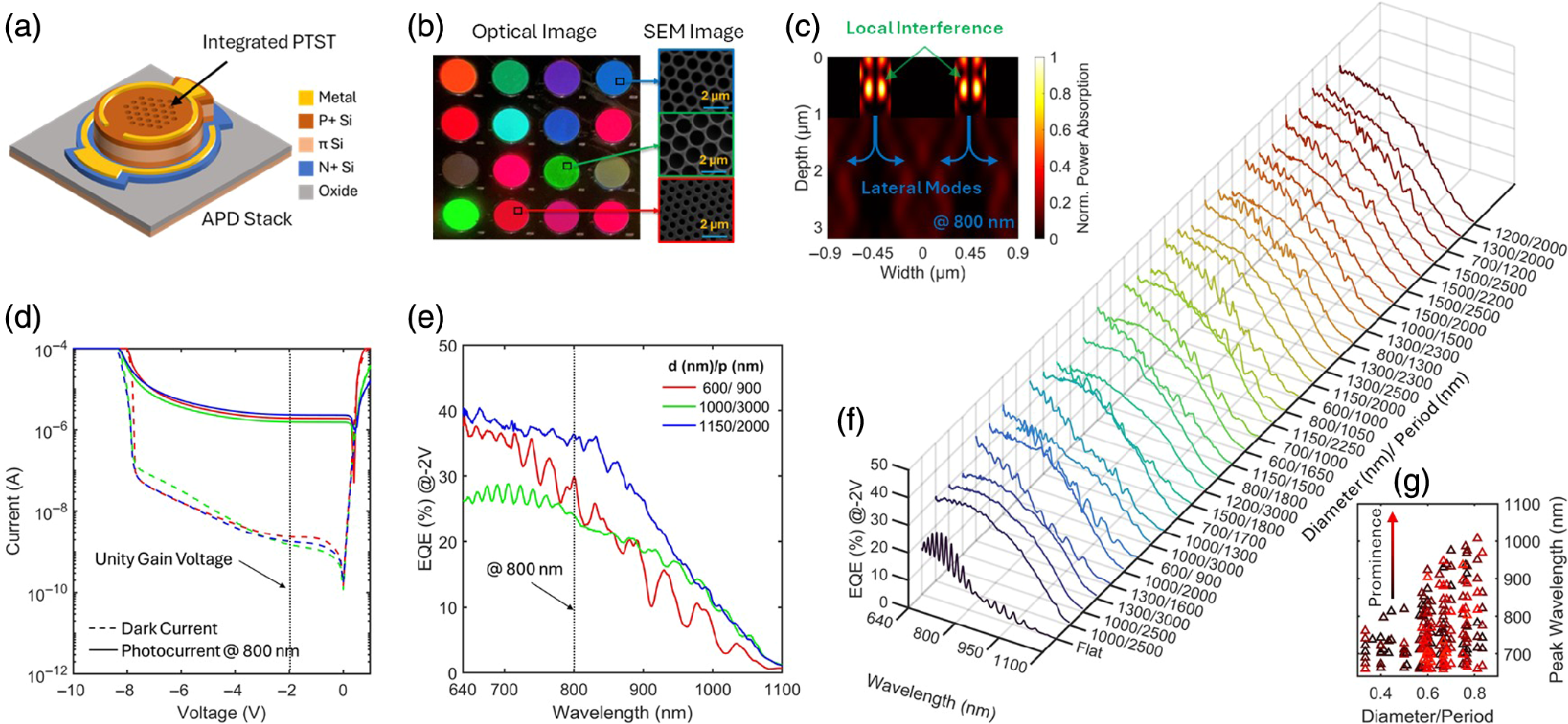 FDTD simulation results of normalized power absorption at 800 nm for a PD with PTST dimensions of 600 nm diameter and 900 nm periodicity.