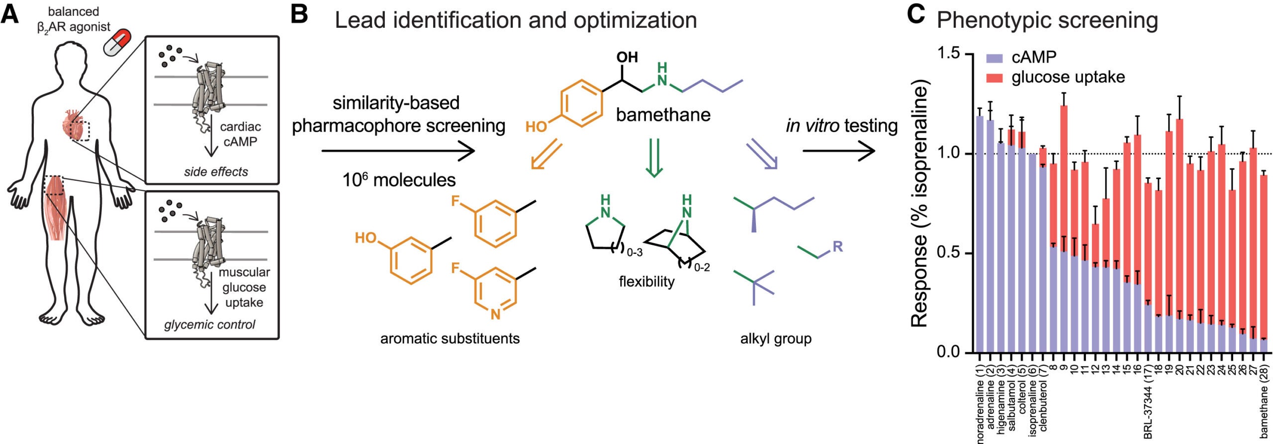 Discovery of adrenergic receptor agonists that increase glucose uptake with low cAMP generation