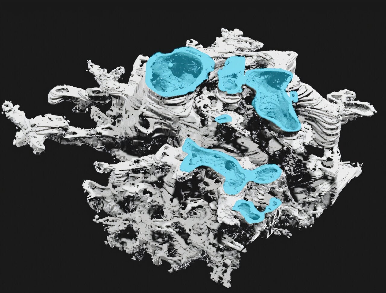The internal anatomy of Prototaxites taiti was composed of interwoven tubes that joined at highly complex branched regions. The complex 3D structure of these regions was revealed by confocal laser scanning microscopy. 