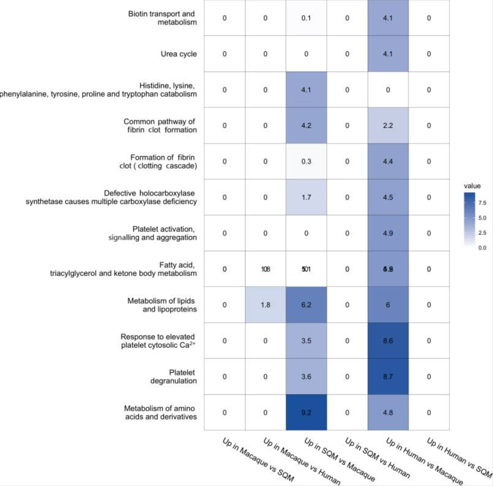 Functional pathways that are differentially expressed in the mouse liver across treatments. Upregulated genes in each pairwise species comparison were identified. Pathway enrichment was performed on each set of differentially expressed genes using the Reactome pathway database.