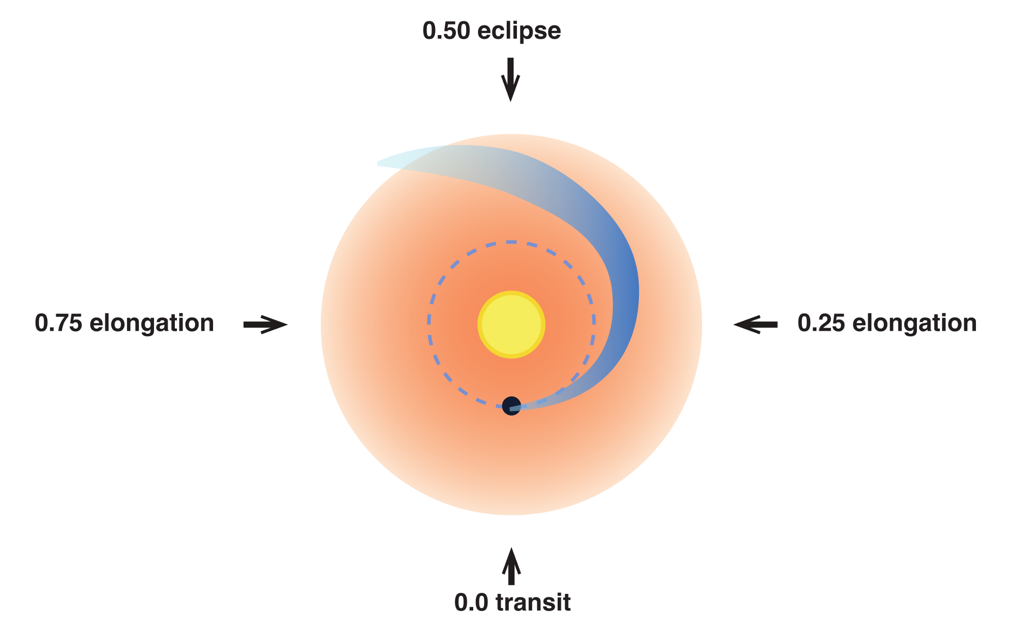 A schematic drawing from above of Betelgeuse and the observed wake caused by the companion star.