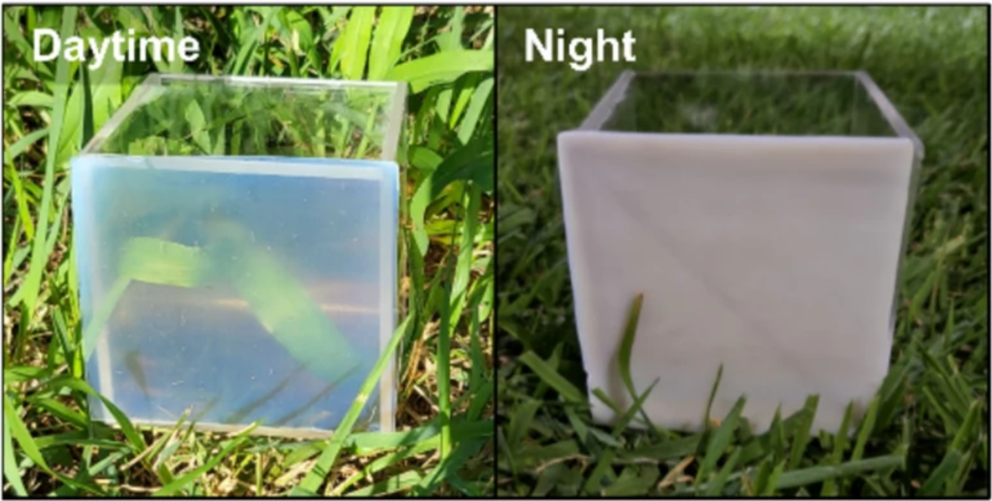 Images of PDLC/TW as one side of the showcase during the day and at night.