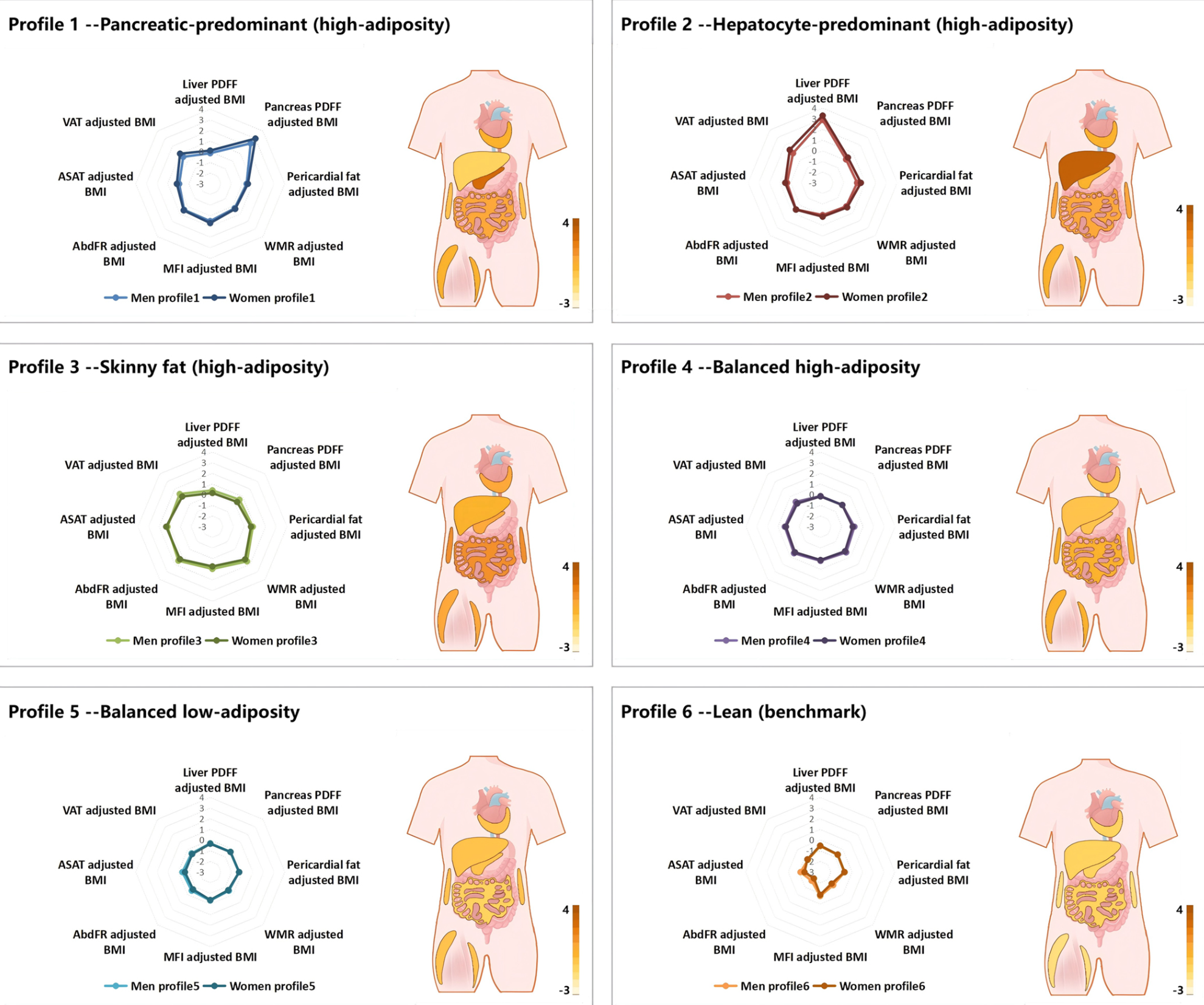 Latent profile analysis identified six profiles of body fat distribution with distinct body mass index (BMI)–adjusted MRI fat quantitation in eight depots.