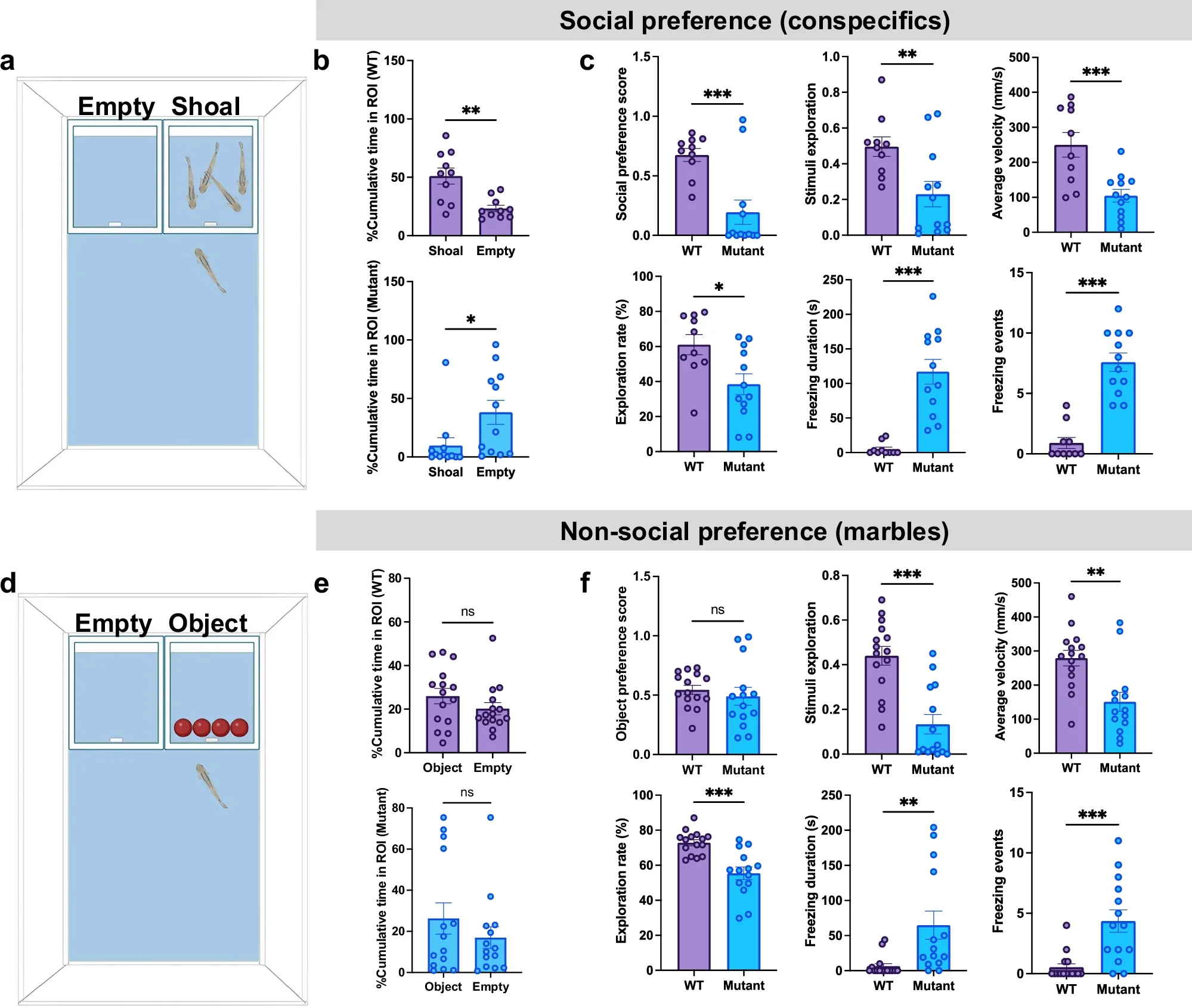 Ube3a mutants exhibit altered social preference but not nonsocial preference in the styrofoam environment.