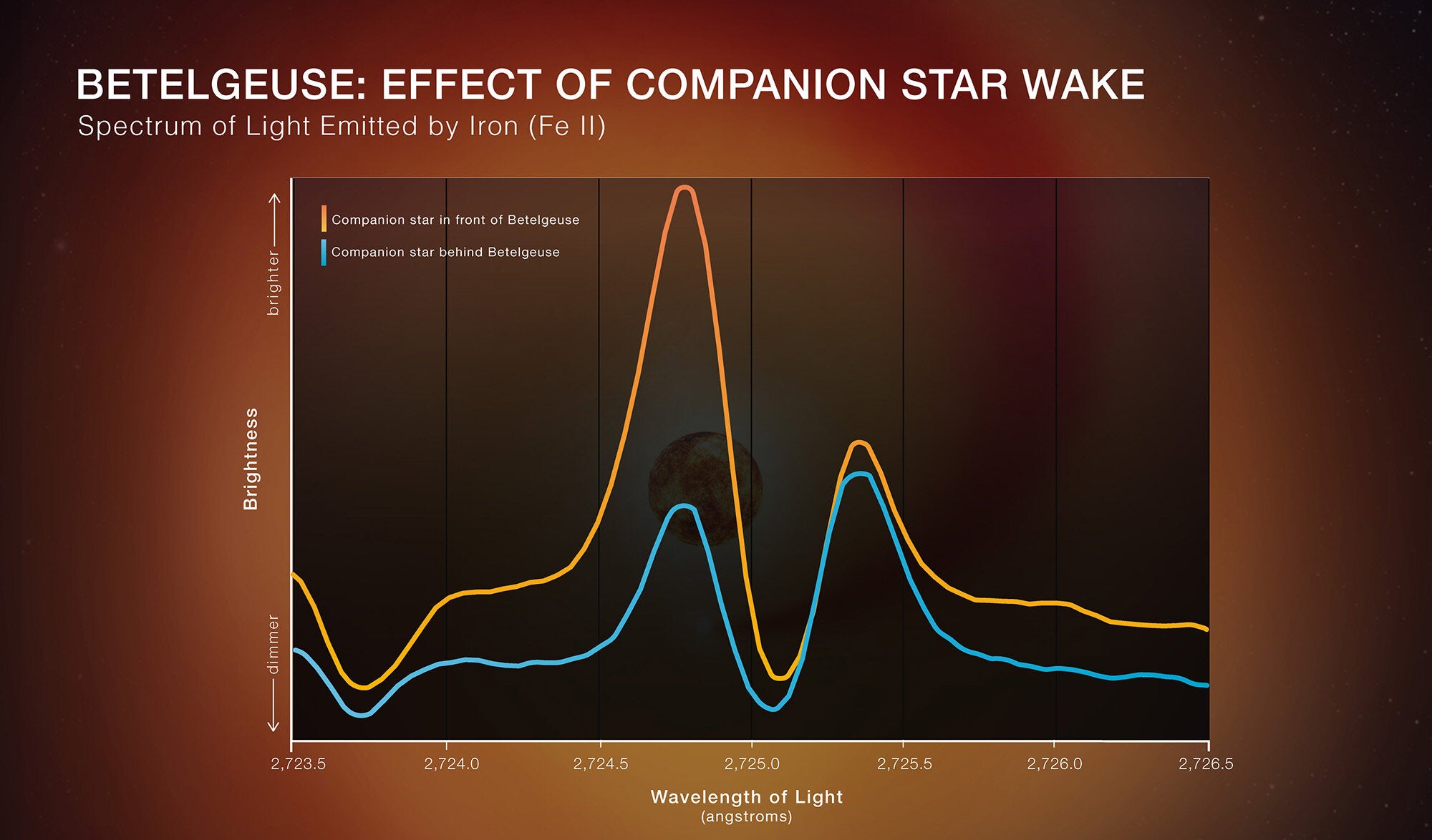 Scientists used NASA's Hubble Space Telescope to look for evidence of a wake being generated by a companion star orbiting the red supergiant Betelgeuse. They narrowed in on ultraviolet light emitted by ionized iron (Fe II, which is an iron atom that has lost one electron). Light from material moving toward us is shifted toward shorter wavelengths, or blue-shifted. The team found a noticeable difference in blue-shifted light, shown in the left-hand peak on the spectrum graph, when the companion star was at different points in its orbit. 