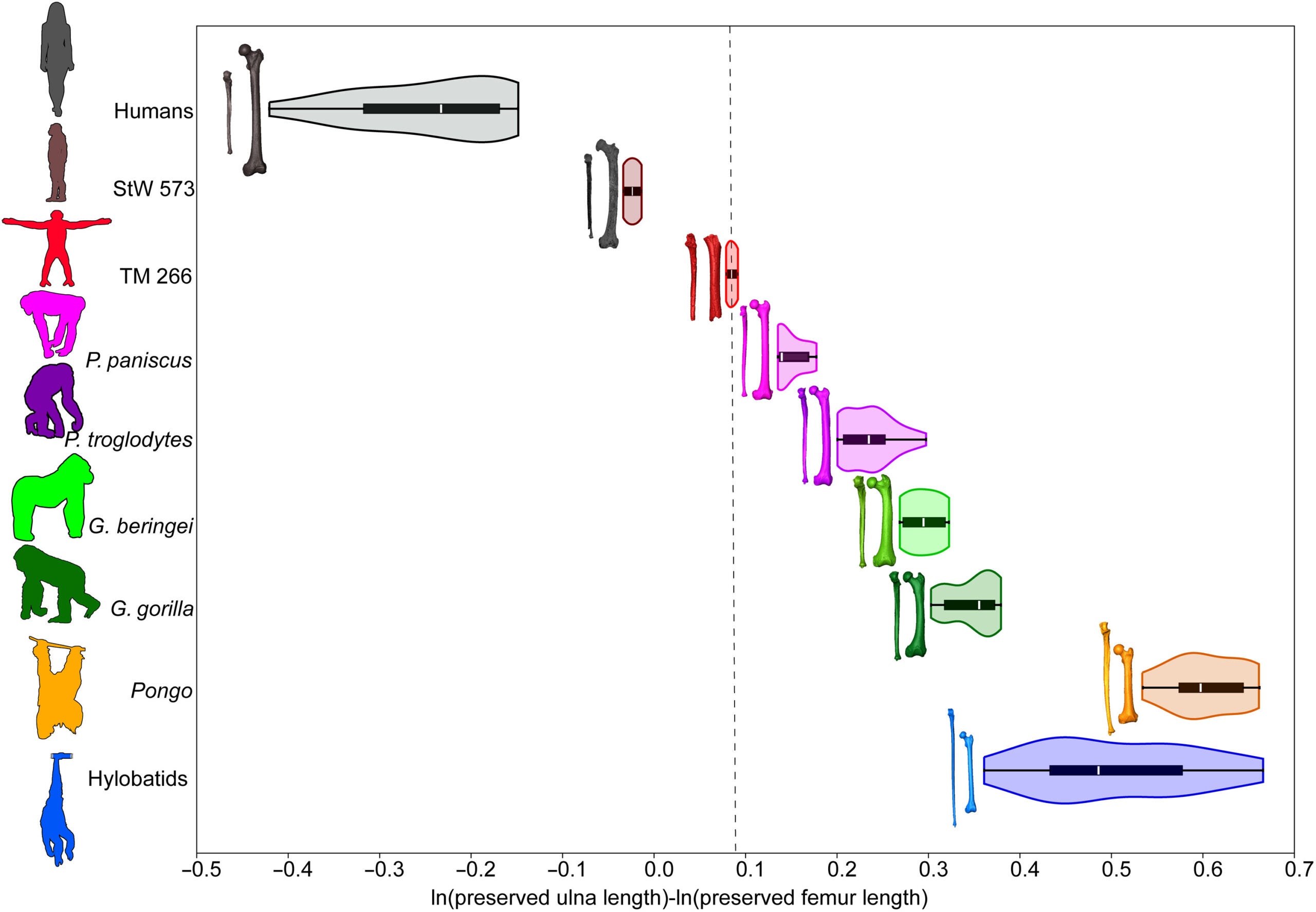 Logged (natural log) ratio of preserved ulna and femur length. Extant taxa are shown with combined violin-box plots, which show the density of data (violin), interquartile range (box) with the median represented by a white line, and the full range of variation depicted with whiskers. 