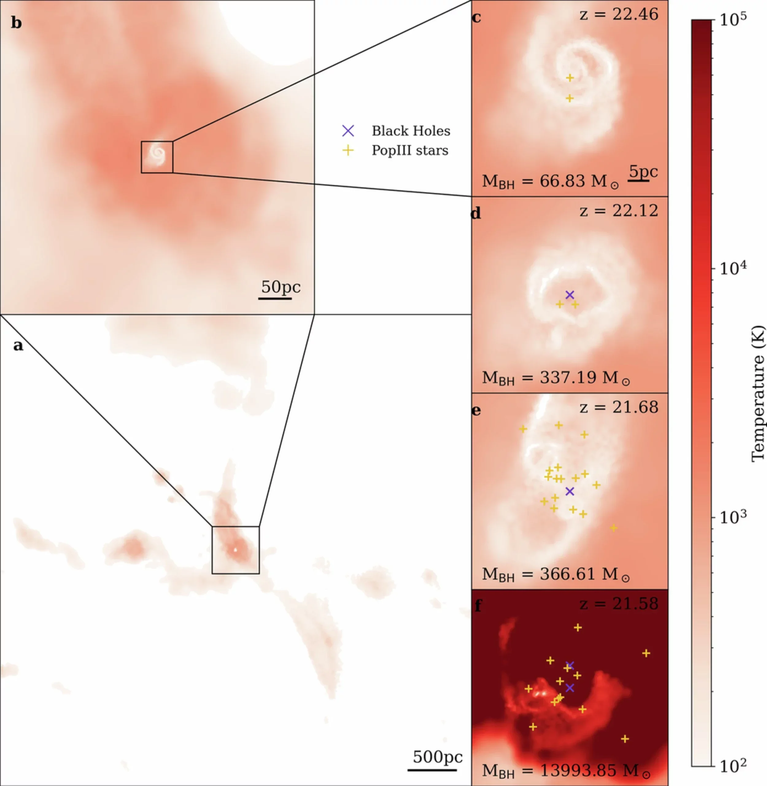 Gas temperature projection for PopIII star formation, supernova feedback, and BH feedback for the most massive BH in the L15_BHFB simulations.