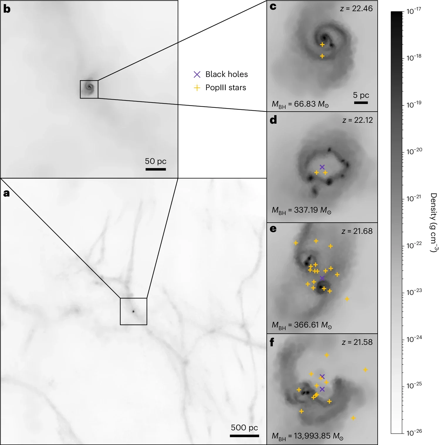 Gas density projection for PopIII star formation, BH formation, supernova feedback and thermal feedback for the most massive BH in the L15_BHFB simulation.