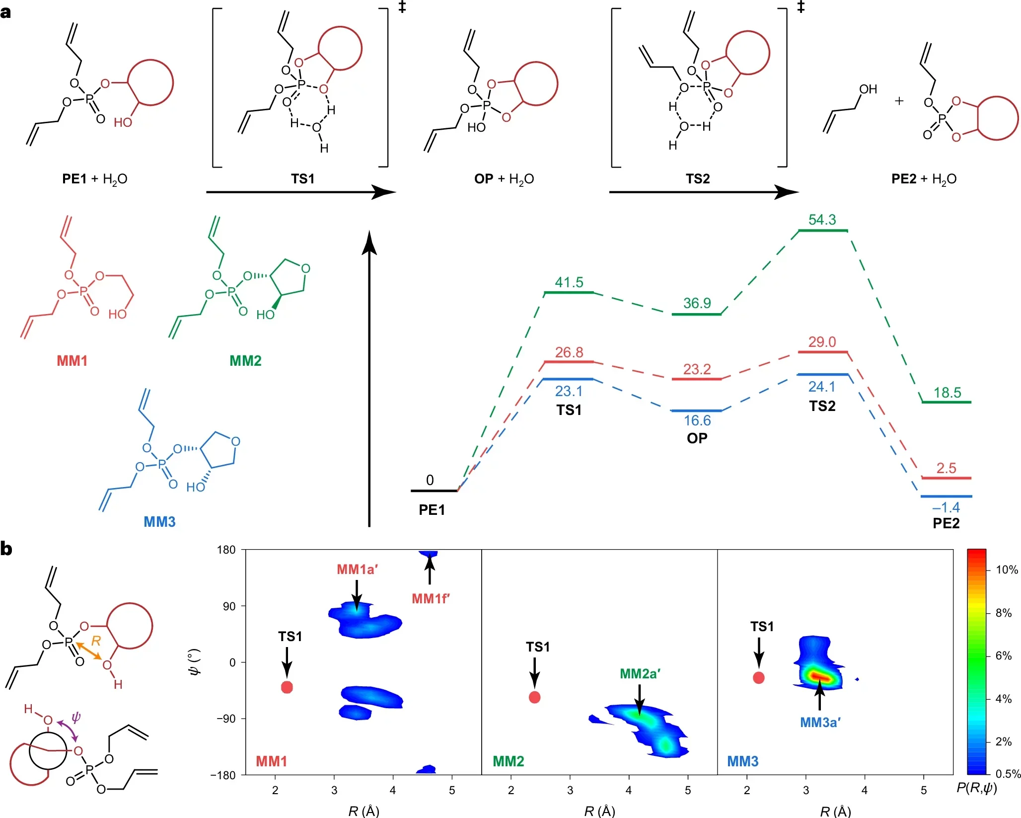 Computational insights into CPNG-driven self-deconstruction.