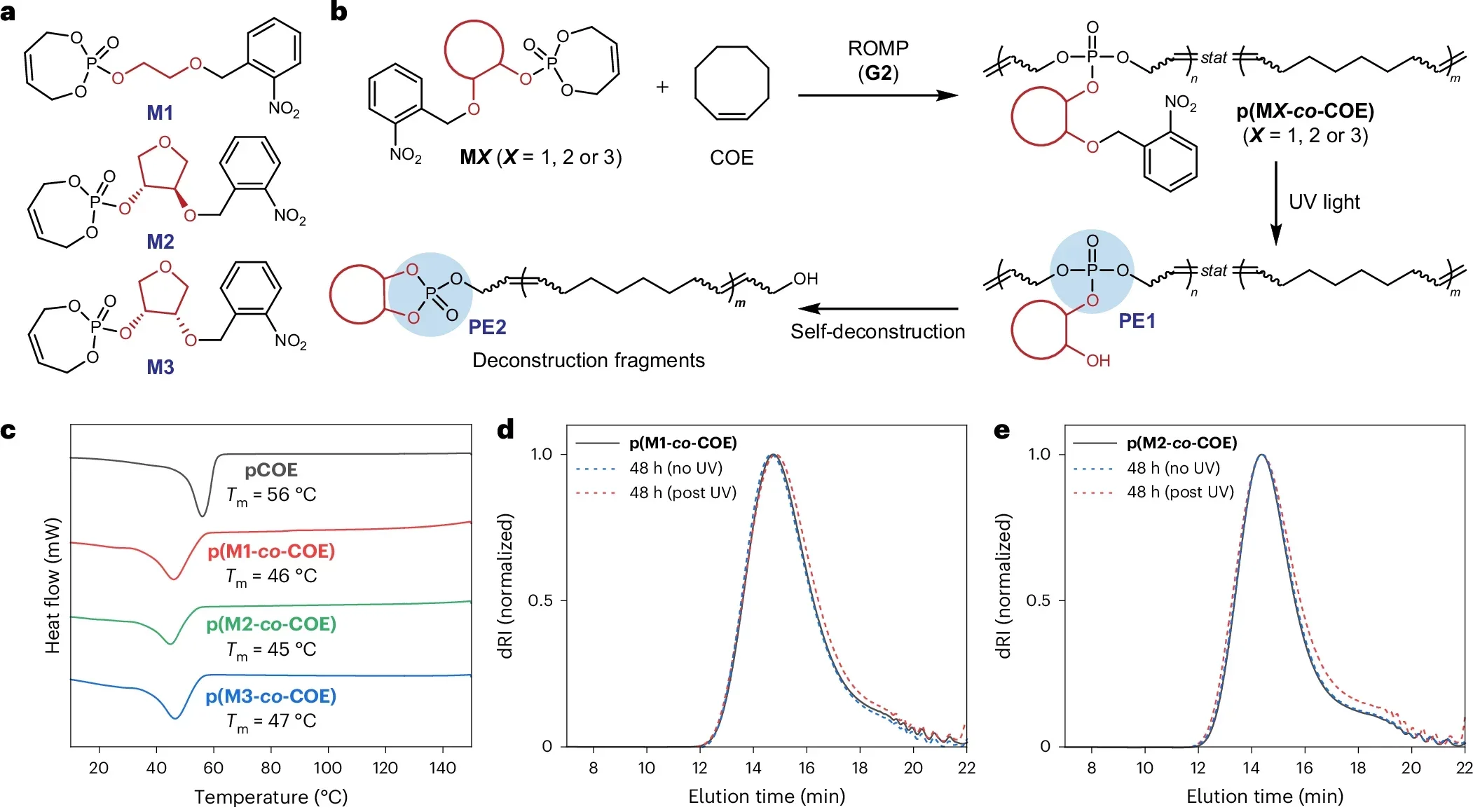 Self-deconstruction of ROMP polymers driven by CPNGs.