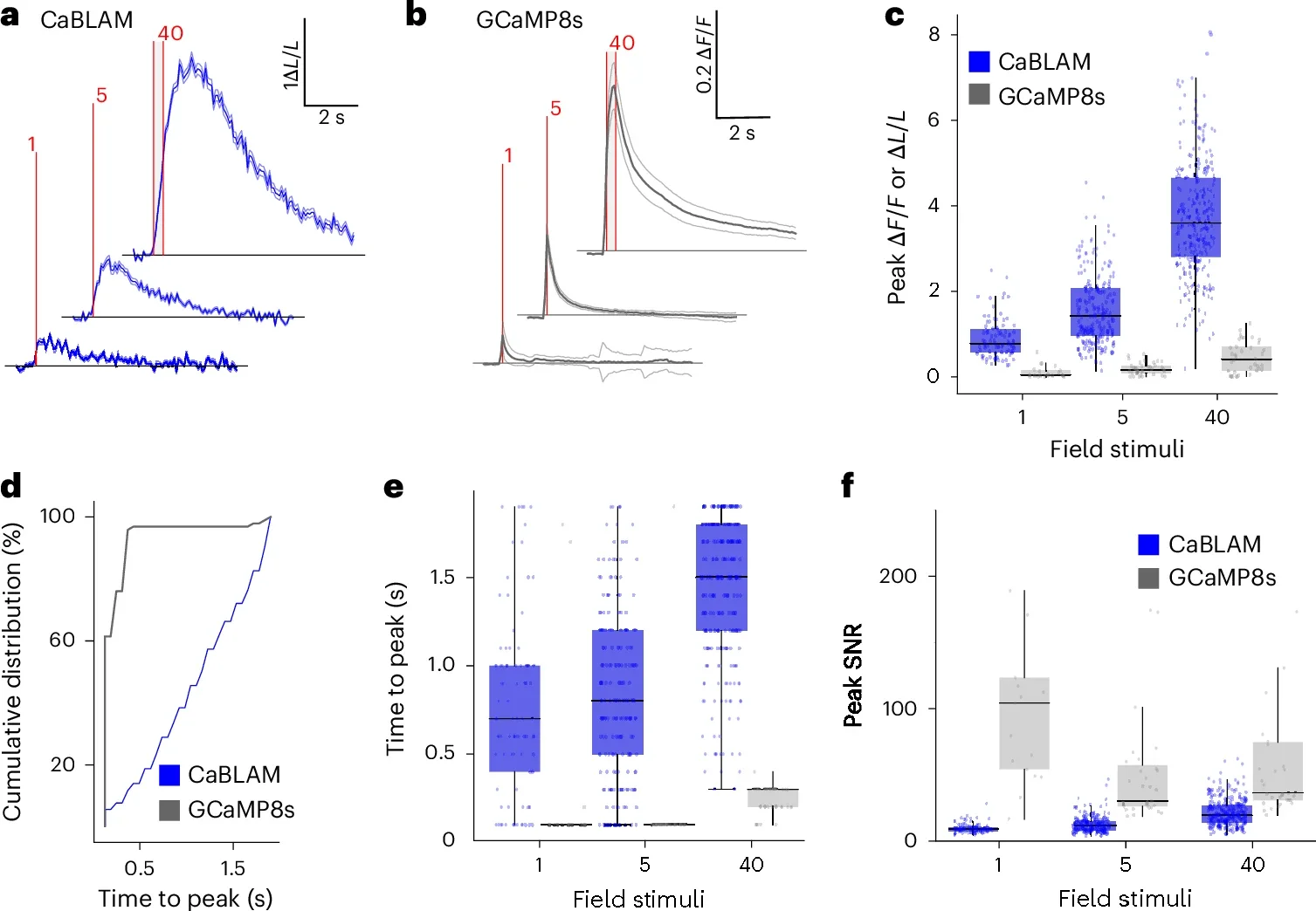 CaBLAM provides high-contrast reporting of stimulus-evoked neural activity in cultured neurons.