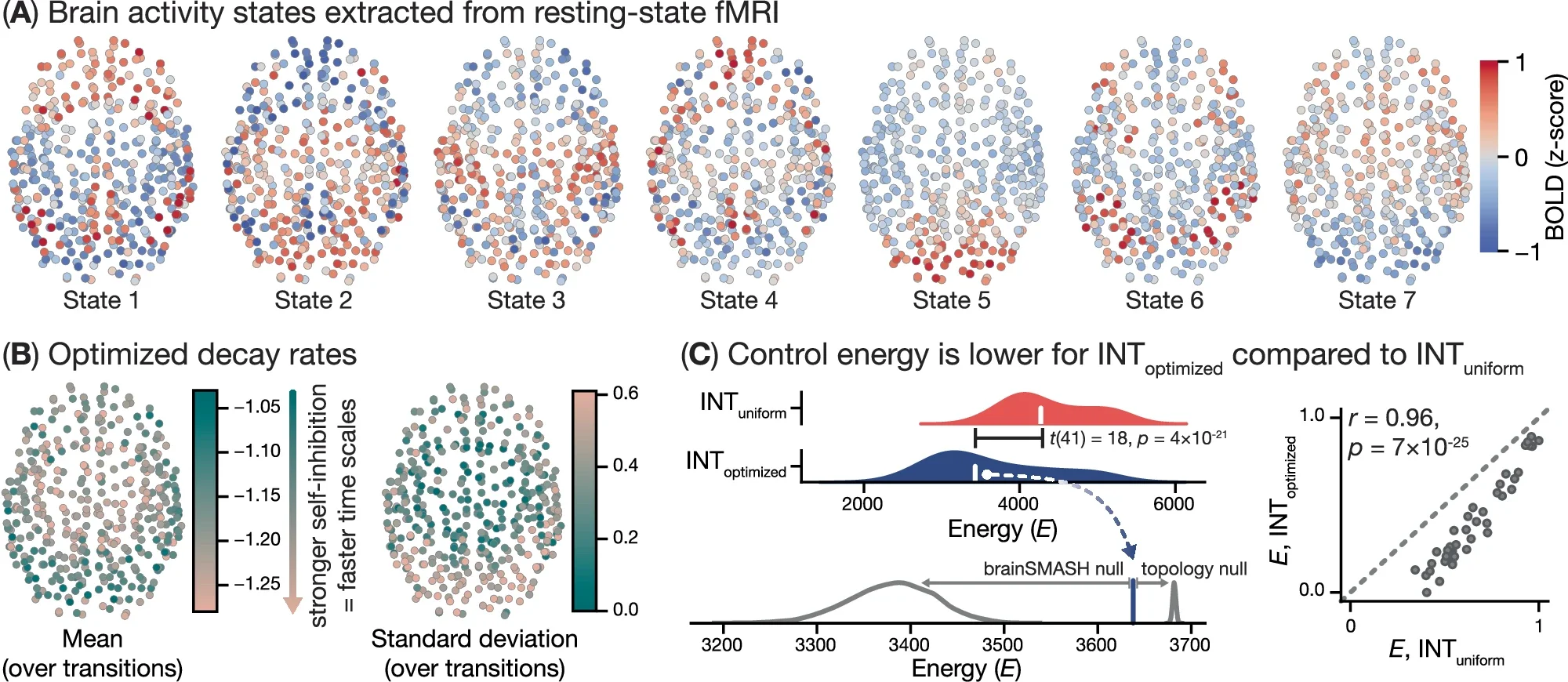 Optimizing nodes’ intrinsic neural time scales results in lower control energy for brain state transitions.
