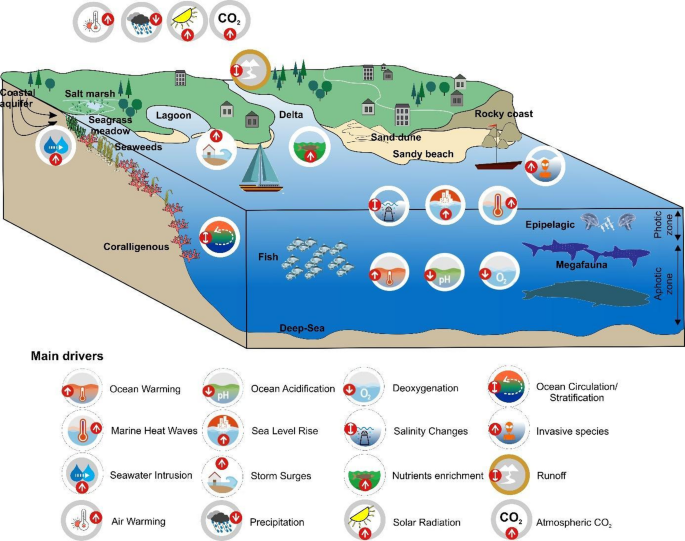Schematic illustration of (i) the different open marine and coastal ecosystems for which we assessed risk levels, and (ii) the main drivers taken into consideration in this assessment.